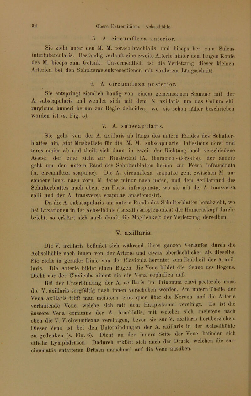 5. A. circumflexa anterior. Sie zieht unter den M. M. coraco-brachialis und biceps her zum Sulcus intertubercularis. Beständig verläuft eine zweite Arterie hinter dem langen Kopfe des M. biceps zum Gelenk. Unvermeidlich ist die Verletzung dieser kleinen Arterien bei den Sehultergelenkresectionen mit vorderem Längsschnitt. 6. A. circumflexa posterior. Sie entspringt ziemlich häufig von einem gemeinsamen Stamme mit der A. subscapularis und wendet sich mit dem N. axillaris um das Collum chi- rurgicum humeri herum zur Regio deltoidea, wo sie schon näher beschrieben worden ist ('s. Fig. 5). 7. A. subscapularis. Sie geht von der A. axillaris ab längs des untern Randes des Schulter- blattes hin, gibt Muskeläste für die M. M. subscapularis, latissimus dorsi und teres maior ab und theilt sich dann in zwei, der Richtung nach verschiedene Aeste; der eine zieht zur Brustwand (A. thoracico - dorsalis), der andere geht um den untern Rand des Schulterblattes herum zur Fossa infraspiuata (A. circumflexa scapulae). Die A. circumflexa scapulae geht zwischen M. an- eonaeus long. nach vorn, M. teres minor nach unten, und dem Axillarrand des Schulterblattes nach oben, zur Fossa infraspiuata, wo sie mit der A. transversa colli und der A. transversa scapulae anastomosirt. Da die A. subscapularis am untern Rande des Schulterblattes herabzieht, wo bei Luxationen in der Achselhöhle (Luxatio subglenoidea) der Humeruskopf durch- bricht, so erklärt sich auch damit die Möglichkeit der Verletzung derselben. V. axillaris. Die V. axillaris befindet sich während ihres ganzen Verlaufes durch die Achselhöhle nach innen von der Arterie und etwas oberflächlicher als dieselbe. Sie zieht in gerader Linie von der Clavicula herunter zum Endtheil der A. axil- laris. Die Arterie bildet einen Bogen, die Vene bildet die Sehne des Bogens. Dicht vor der Clavicula nimmt sie die Vena cephalica auf. Bei der Unterbindung der A. axillaris im Trigonum clavi-pectorale muss die V. axillaris sorgfältig nach innen verschoben werden. Am untern Theile der Vena axillaris trifft man meistens eine quer über die Nerven und die Arterie verlaufende Vene, welche sich mit dem Hauptstamm vereinigt. Es ist die äussere Vena comitans der A. brachialis, mit welcher sich meistens nach oben die V. V.circumflexae vereinigen, bevor sie zur V. axillaris herüberziehen. Dieser Vene ist bei den Unterbindungen der A. axillaris in der Achselhöhle zu gedenken (s. Fig. 6). Dicht an der innern beite der Vene befinden sich etliche Lymphdrüsen. Dadurch erklärt sich auch der Druck, welchen die car- einomatös entarteten Drüsen manchmal aut die Vene ausüben.