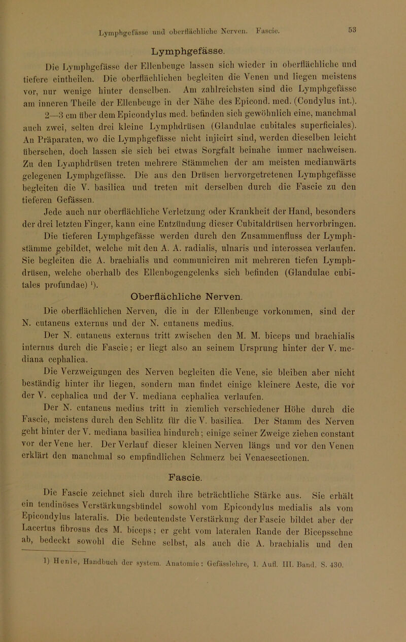 Lymphgefässe und oberflächliche Nerven. Lymphgefässe. Die Lymphgefässe der Ellenbeuge lassen sich wieder in oberflächliche und tiefere eintheilen. Die oberflächlichen begleiten die Venen und liegen meistens vor, nur wenige hinter denselben. Am zahlreichsten sind die Lymphgefässe am inneren Theilc der Ellenbeuge in der Nähe des Epicond. med. (Condylus int.). 2—3 cm über dem Epieondylus med. befinden sieh gewöhnlich eine, manchmal auch zwei, selten drei kleine Lymphdrüsen (Glandulae cubitales superficiales). An Präparaten, wo die Lymphgefässe nicht injicirt sind, werden dieselben leicht tibersehen, doch lassen sie sich bei etwas Sorgfalt beinahe immer nachweisen. Zu den Lymphdrüsen treten mehrere Stämmchen der am meisten medianwärts gelegenen Lymphgefässe. Die aus den Drüsen hervorgetretenen Lymphgefässe begleiten die V. basilica und treten mit derselben durch die Fascie zu den tieferen Gefässen. Jede auch nur oberflächliche Verletzung oder Krankheit der Hand, besonders der drei letzten Finger, kann eine Entzündung dieser Cubitaldrüsen hervorbringen. Die tieferen Lymphgefässe werden durch den Zusammenfluss der Lymph- stämme gebildet, welche mit den A. A. radialis, ulnaris und interossea verlaufen. Sie begleiten die A. brachialis und communiciren mit mehreren tiefen Lymph- drüsen, welche oberhalb des Ellenbogengelenks sich befinden (Glandulae cubi- tales profundae) ')• Oberflächliche Nerven. Die oberflächlichen Nerven, die in der Ellenbeuge Vorkommen, sind der N. cutaneus externus und der N. cutaneus medius. Der N. cutaneus externus tritt zwischen den M. M. biceps und brachialis internus durch die Fascie; er liegt also an seinem Ursprung hinter der V. me- diana cephalica. Die Verzweigungen des Nerven begleiten die Vene, sie bleiben aber nicht beständig hinter ihr liegen, sondern man findet einige kleinere Aeste, die vor der V. cephalica und der V. mediana cephalica verlaufen. Der N. cutaneus medius tritt in ziemlich verschiedener Höhe durch die Fascie, meistens durch den Schlitz für die V. basilica. Der Stamm des Nerven geht hinter derV. mediana basilica hindurch; einige seiner Zweige ziehen constant vor der Vene her. Der Verlauf dieser kleinen Nerven längs und vor den Venen erklärt den manchmal so empfindlichen Schmerz bei Venaesectionen. Fascie. Die Fascie zeichnet sich durch ihre beträchtliche Stärke aus. Sie erhält ein tendinöses Verstärkungsbündel sowohl vom Epicondylus medialis als vom Epicondylus lateralis. Die bedeutendste Verstärkung der Fascie bildet aber der Lacertus fibrosus dos M. biceps; er gebt vom lateralen Rande der Bicepssehne ab, bedeckt sowohl die Sehne selbst, als auch die A. brachialis und den 1) Ilenle, Handbuch der System. Anatomie: Gefässlehre, 1. Aufl. III. Band, S. 430.