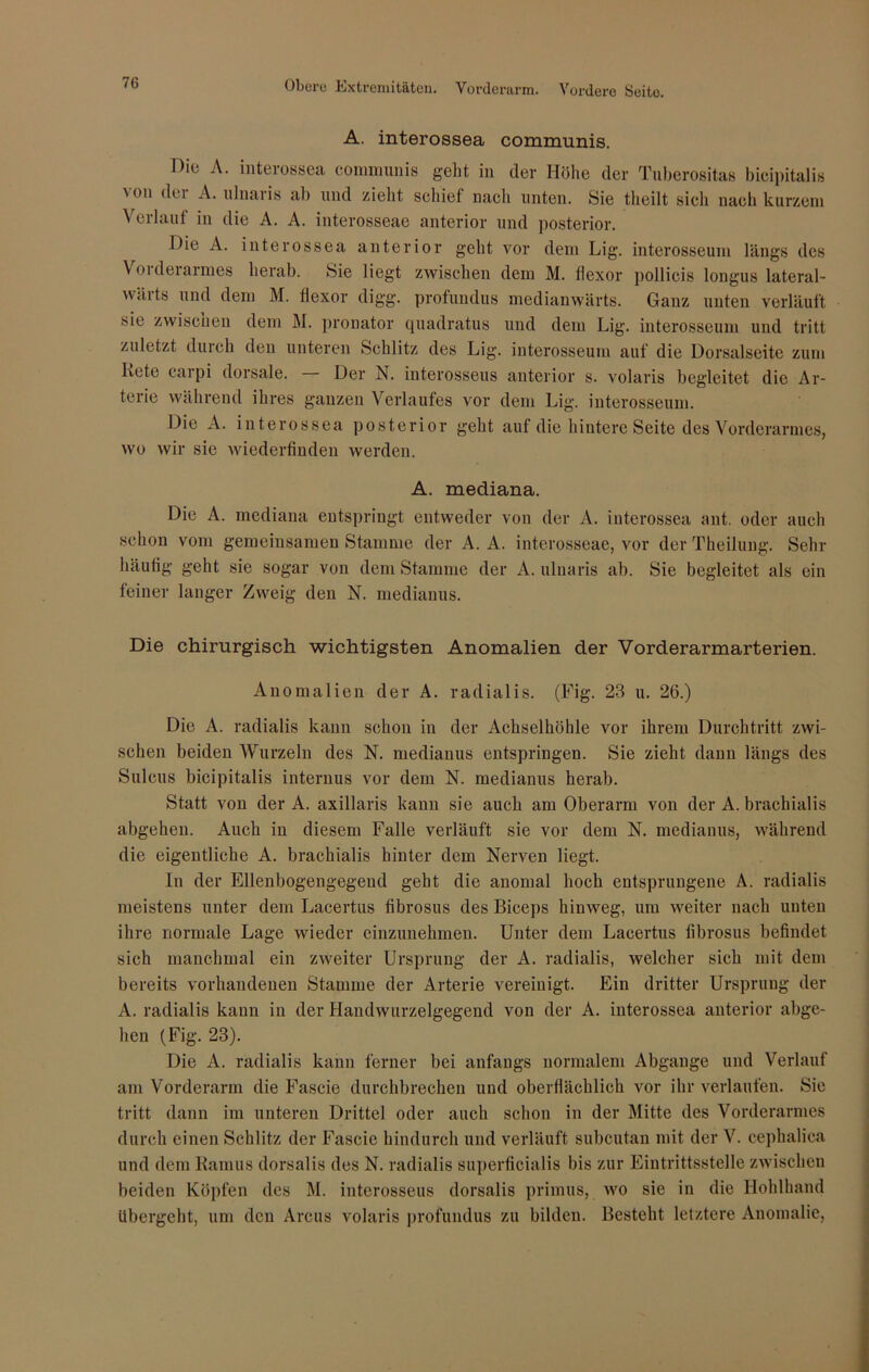 A. interossea communis. Hie A. interossea communis gebt in der Höhe der Tuberositas bicipitalis von der A. ulnaris ab und zieht schief nach unten. Sie theilt sich nach kurzem Verlauf in die A. A. interosseae anterior und posterior. Die A. interossea anterior geht vor dem Lig. interosseum längs des Vorderarmes herab. Sie liegt zwischen dem M. flexor pollicis longus lateral- wäits und dein M. flexor digg, profundus medianwärts. Ganz unten verläuft sie zwischen dem M. pronator quadratus und dem Lig. interosseum und tritt zuletzt durch den unteren Schlitz des Lig. interosseum auf die Dorsalseite zum liete carpi dorsale. — Der N. interosseus anterior s. volaris begleitet die Ar- terie während ihres ganzen Verlaufes vor dem Lig. interosseum. Die A. interossea posterior geht auf die hintere Seite des Vorderarmes, wo wir sie wiederfinden werden. A. mediana. Die A. mediana entspringt entweder von der A. interossea ant. oder auch schon vom gemeinsamen Stamme der A. A. interosseae, vor der Theilung. Sehr häufig geht sie sogar von dem Stamme der A. ulnaris ab. Sie begleitet als ein feiner langer Zweig den N. medianus. Die chirurgisch wichtigsten Anomalien der Vorderarmarterien. Anomalien der A. radialis. (Fig. 23 u. 26.) Die A. radialis kann schon in der Achselhöhle vor ihrem Durchtritt zwi- schen beiden Wurzeln des N. medianus entspringen. Sie zieht dann längs des Sulcus bicipitalis internus vor dem N. medianus herab. Statt von der A. axillaris kann sie auch am Oberarm von der A. brachialis abgehen. Auch in diesem Falle verläuft sie vor dem N. medianus, während die eigentliche A. brachialis hinter dem Nerven liegt. In der Ellenbogengegend geht die anomal hoch entsprungene A. radialis meistens unter dem Lacertus fibrosus des Biceps hinweg, um weiter nach unten ihre normale Lage wieder cinzunelnnen. Unter dem Lacertus librosus befindet sich manchmal ein zweiter Ursprung der A. radialis, welcher sich mit dem bereits vorhandenen Stamme der Arterie vereinigt. Ein dritter Ursprung der A. radialis kann in der Handwurzelgegend von der A. interossea anterior abge- hen (Fig. 23). Die A. radialis kann ferner bei anfangs normalem Abgänge und Verlauf am Vorderarm die Fascie durchbrechen und oberflächlich vor ihr verlaufen. Sie tritt dann im unteren Drittel oder auch schon in der Mitte des Vorderarmes durch einen Schlitz der Fascie hindurch und verläuft subcutan mit der V. cephalica und dem Ramus dorsalis des N. radialis superficialis bis zur Eintrittsstelle zwischen beiden Köpfen des M. interosseus dorsalis primus, wo sie in die Hohlhand übergeht, um den Arcus volaris profundus zu bilden. Besteht letztere Anomalie,