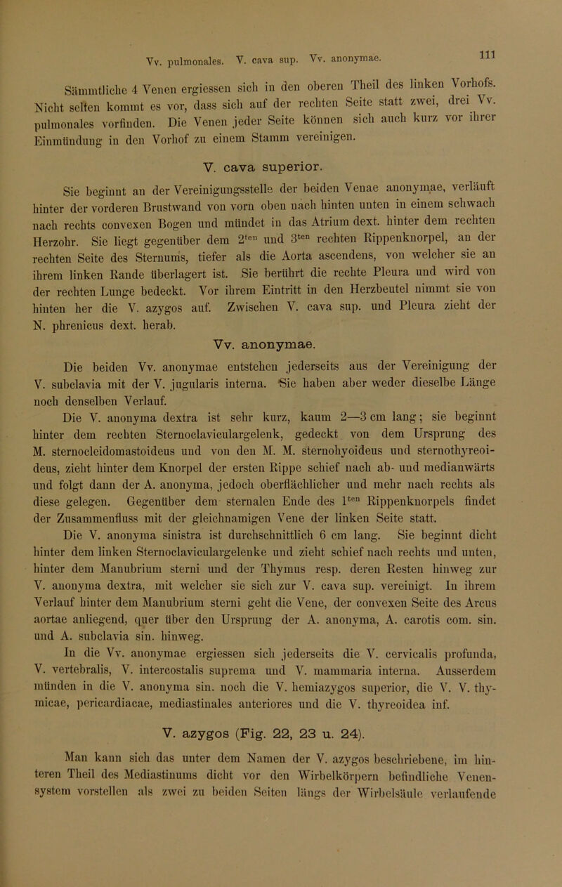 Vv. pulmonales. V. cava sup. Vv. anonymae. Säinmtlichc 4 Venen ergiessen sich in den oberen Theil des linken Vorhofs. Nicht selten kommt es vor, dass sich auf der rechten Seite statt zwei, drei Vv. pulmonales vorfinden. Die Venen jeder Seite können sich auch kurz vor ihrer Einmündung in den Vorhof zu einem Stamm vereinigen. V. cava superior. Sie beginnt an der Vereinigungsstelle der beiden \ enae anonymae, veiläuft hinter der vorderen Brustwand von vorn oben nach hinten unten in einem schwach nach rechts convexen Bogen und mündet in das Atrium dext. hintei dem 1 echten Herzohr. Sie liegt gegenüber dem 2te” und 3ten rechten Rippenknorpel, an der rechten Seite des Sternums, tiefer als die Aorta ascendens, von welcher sie an ihrem linken Rande überlagert ist. Sie berührt die rechte Pleura und wird von der rechten Lunge bedeckt. Vor ihrem Eintritt in den Herzbeutel nimmt sie von hinten her die V. azygos auf. Zwischen V. cava sup. und Pleura zieht der N. phrenicus dext. herab. Vv. anonymae. Die beiden Vv. anonymae entstehen jederseits aus der Vereinigung der V. subclavia mit der V. jugularis interna. Sie haben aber weder dieselbe Länge noch denselben Verlauf. Die V. anonyma dextra ist sehr kurz, kaum 2—3 cm lang; sie beginnt, hinter dem rechten Sternoclaviculargelenk, gedeckt von dem Ursprung des M. sternocleidomastoideus und von den M. M. sternokyoideus und sternotkyreoi- deus, zieht hinter dem Knorpel der ersten Rippe schief nach ab- und medianwärts und folgt dann der A. anonyma, jedoch oberflächlicher und mehr nach rechts als diese gelegen. Gegenüber dem sternalen Ende des lten Rippenkuorpels findet der Zusammenfluss mit der gleichnamigen Vene der linken Seite statt. Die V. anonyma sinistra ist durchschnittlich 6 cm lang. Sie beginnt dicht hinter dem linken Sternoclaviculargelenke und zieht schief nach rechts und unten, hinter dem Manubrium sterni und der Thymus resp. deren Resten hinweg zur V. anonyma dextra, mit welcher sie sich zur V. cava sup. vereinigt. In ihrem Verlauf hinter dem Manubrium sterni geht die Vene, der convexen Seite des Arcus aortae anliegend, quer über den Ursprung der A. anonyma, A. carotis com. sin. und A. subclavia sin. hinweg. In die Vv. anonymae ergiessen sich jederseits die V. cervicalis profunda, V. vertebralis, V. intercostalis suprema und V. mammaria interna. Ausserdem münden in die V. anonyma sin. noch die V. kemiazygos superior, die V. V. tky- micae, pericardiacae, mediastinales anteriores und die V. tkyreoidea inf. V. azygos (Fig. 22, 23 u. 24). Man kann sich das unter dem Namen der V. azygos beschriebene, im hin- teren Theil des Mediastinums dicht vor den Wirbelkörpern befindliche Venen- system vorstellen als zwei zu beiden Seiten längs der Wirbelsäule verlaufende