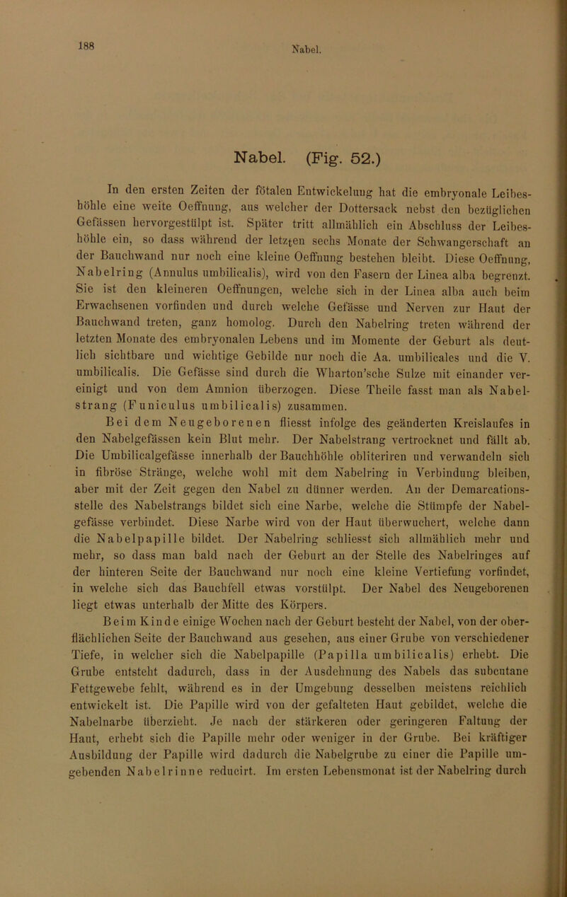 Nabel. Nabel. (Fig. 52.) In den ersten Zeiten der fötalen Entwickelung hat die embryonale Leibes- höhle eine weite Oeffnung, aus welcher der Dottersack nebst den bezüglichen Gefässen hervorgestülpt ist. Später tritt allmählich ein Abschluss der Leibes- höhle ein, so dass während der letzten sechs Monate der Schwangerschaft an der Bauchwand nur noch eine kleine Oeffnung bestehen bleibt. Diese Oeffnung, Nabelring (Annulus umbilicalis), wird von den Fasern der Linea alba begrenzt. Sie ist den kleineren Oeffnungen, welche sich in der Linea alba auch beim Erwachsenen vorfinden und durch welche Gefässe und Nerven zur Haut der Bauchwand treten, ganz homolog. Durch den Nabelring treten während der letzten Monate des embryonalen Lebens und im Momente der Geburt als deut- lich sichtbare und wichtige Gebilde nur noch die Aa. umbilicales und die V. umbilicalis. Die Gefässe sind durch die Wharton’sche Sülze mit einander ver- einigt und von dem Amnion überzogen. Diese Theile fasst man als Nabel- strang (Funiculus umbilicalis) zusammen. Bei dem Neugeborenen fliesst infolge des geänderten Kreislaufes in den Nabelgefässen kein Blut mehr. Der Nabelstrang vertrocknet und fällt ab. Die Umbilicalgefässe innerhalb der Bauchhöhle obliteriren und verwandeln sich in fibröse Stränge, welche wohl mit dem Nabelring in Verbindung bleiben, aber mit der Zeit gegen den Nabel zu dünner werden. An der Demarcations- stelle des Nabelstrangs bildet sich eine Narbe, welche die Stümpfe der Nabel- gefässe verbindet. Diese Narbe wird von der Haut überwuchert, welche dann die Nabelpapille bildet. Der Nabelring schliesst sich allmählich mehr uud mehr, so dass man bald nach der Geburt an der Stelle des Nabelringes auf der hinteren Seite der Bauchwand nur noch eine kleine Vertiefung vorfindet, in welche sich das Bauchfell etwas vorstülpt. Der Nabel des Neugeborenen liegt etwas unterhalb der Mitte des Körpers. Beim Kinde einige Wochen nach der Geburt besteht der Nabel, von der ober- flächlichen Seite der Bauchwand aus gesehen, aus einer Grube von verschiedener Tiefe, in welcher sich die Nabelpapille (Papilla umbilicalis) erhebt. Die Grube entsteht dadurch, dass in der Ausdehnung des Nabels das subcutane Fettgewebe fehlt, während es in der Umgebung desselben meistens reichlich entwickelt ist. Die Papille wird von der gefalteten Haut gebildet, welche die Nabelnarbe überzieht. Je nach der stärkeren oder geringeren Faltung der Haut, erhebt sich die Papille mehr oder weniger in der Grube. Bei kräftiger Ausbildung der Papille wird dadurch die Nabelgrube zu einer die Papille um- gebenden Nabel rinne reducirt. Im ersten Lebensmonat ist der Nabelring durch