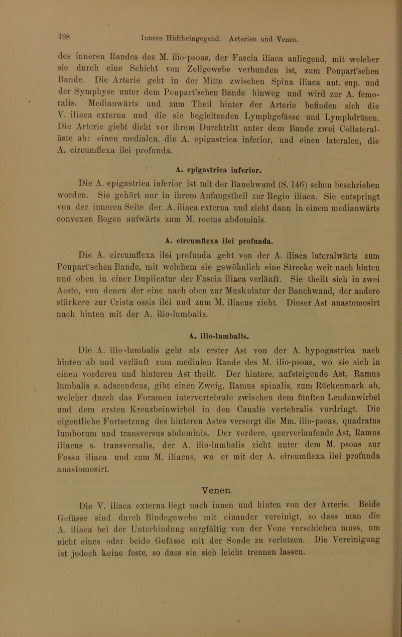 Innere Hüftbeingegend. Arterien und Yenen. des inneren Randes des M. ilio-psoas, der Fascia iliaca anliegend, mit welcher sie durch eine Schicht von Zellgewebe verbunden ist, zum Poupart’schen Bande. Die Arterie geht in der Mitte zwischen Spina iliaca ant. sup. und der Symphyse unter dem Poupart’schen Bande hinweg und wird zur A. femo- ralis. Mediamvärts und zum Theil hinter der Arterie befinden sich die V. iliaca externa und die sie begleitenden Lymphgefässe und Lympbdriisen. Die Arterie giebt dicht vor ihrem Durchtritt unter dem Bande zwei Collateral- äste ab: einen medialen, die A. epigastrica inferior, und einen lateralen, die A. circumfiexa ilei profunda. A. epigastrica inferior. Die A. epigastrica inferior ist mit der Bauchwand (S. 146) schon beschrieben worden. Sie gehört nur in ihrem Anfangsthei! zur Regio iliaca. Sie entspringt von der inneren Seite der A. iliaca externa und zieht dann in einem medianwärts convexen Bogen aufwärts, zum M. rectus abdominis. A. circumfiexa ilei profunda. Die A. circumfiexa ilei profunda geht von der A. iliaca lateralwärts zum Poupart'schen Bande, mit welchem sie gewöhnlich eine Strecke weit nach hinten und oben in einer Duplicatur der Fascia iliaca verläuft. Sie theilt sich in zwei Aeste, von denen der eine nach oben zur Muskulatur der Bauchwand, der andere stärkere zur Crista ossis ilei und zum M. iliacus zieht. Dieser Ast anastomosirt nach hinten mit der A. ilio-lumbalis. A. ilio-lumbalis. Die A. ilio-lumbalis geht als erster Ast von der A. hypogastrica nach hinten ab und verläuft zum medialen Rande des M. ilio-psoas, wo sie sich in einen vorderen und hinteren Ast theilt. Der hintere, aufsteigende Ast, Ramus lumbalis s. adscendens, gibt einen Zweig, Ramus spinalis, zum Rückenmark ab, welcher durch das Foramen intervertebrale zwischen dem fünften Lendenwirbel und dem ersten Kreuzbeinwirbel in den Canalis vertebralis vordringt. Die eigentliche Fortsetzung des hinteren Astes versorgt die Mm. ilio-psoas, quadratus lumborum und transversus abdominis. Der vordere, querverlaufende Ast, Ramus iliacus s. transversalis, der A. ilio-lumbalis zieht unter dem M. psoas zur Fossa iliaca und zum M. iliacus, wo er mit der A. circumfiexa ilei profunda anastomosirt, Venen. Die V. iliaca externa liegt nach innen und hinten von der Arterie. Beide Gefässe sind durch Bindegewebe mit einander vereinigt, so dass man die A. iliaca bei der Unterbindung sorgfältig von der Vene verschieben muss, um nicht eines oder beide Gefässe mit der Sonde zu verletzen. Die Vereinigung ist jedoch keine feste, so dass sie sich leicht trennen lassen. f