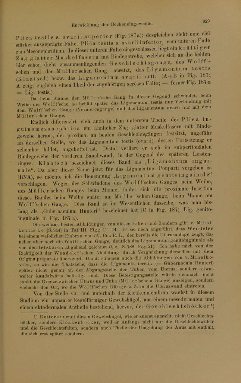 Entwicklung der Beckeneingeweide. Plica testis 8. ovarii Superior (Fig. 187a); desgleichen sieht eine viel stärker ausgeprägte Falte, Plica testis s. ovarii inferior, vom unteren Lude zum Mesonephridium. In dieser unteren Falte eingeschlossen liegt ein k r a 111 g e i Zug glatter Muskelfasern mit Bindegewebe, welcher sich an die beiden hier schon dicht zusammen liegenden Geschlechtsgänge, den \ o sehen und den M alle r’sclien Gang, ansetzt, das Ligamentum testis (K1 a a t s c h) bezw. das L i g a m entum ovarii autt. (A+B in Flg. , A zeigt zugleich einen Theil der zugehörigen serösen Falte; ferner Fig. 1 a Lj0. testis) Da beim Manne der Müll er'sehe Gang in dieser Gegend schwindet, beim Weibe der Wolff’sche, so behält später das Ligamentum testis nur Verbindung mi dem Wolff’schen Gange (Vornierengange) und das Ligamentum ovarii nur mit em Miiller’schen Gange. . Endlich differenzirt sich auch in dem untersten Theile der I licam- guinomesonephrica ein ähnlicher Zug glatter Muskelfasern mit Binde- gewebe heraus, der proximal an beiden Geschlechtsgängen festsitzt, ungelähi an derselben Stelle, wo das Ligamentum testis (ovarii), dessen Fortsetzung er scheinbar bildet, angeheftet ist. Distal verliert er sich im subperitonäalen Bindegewebe der vorderen Bauchwand, in der Gegend des späteren Leisten- ringes. K 1 aatsch bezeichnet dieses Band als „Ligämentum ingui- n a 1 e“. Da aber dieser Name jetzt für das Ligamentum Pouparti vergeben ist (BNA), so möchte ich die Benennung „L i g am en tu in genito inguinale vorschlagen. Wegen des Schwindens des Wol ff sehen Ganges beim Weibe, des Miiller’schen Ganges beim Manne, findet sich die proximale Insertion dieses Bandes beim Weibe später am M ü 11 e r sehen Gange, beim Manne am Wolff’schen Gange. Dies Band ist im Wesentlichen dasselbe, was man bis- lang als „Gubernaculum Hunteri“ bezeichnet hat (C in Fig. 18<), Lig. genito- inguinale in Fig. 187 a). Die weitaus besten Abbildungen von diesen Falten und Bändern g'ibt v. Mihal- kovics 1. c. [S. 944] in Taf. III, Figg. 41-44. Es sei noch angeführt, dass Wendeier bei einem weiblichen Embryo von 5l/2 Cm. R. L., der bereits die Uterusanlage zeigt, da- neben aber noch die Wolff’schen Gänge, deutlich das Ligamentum genitoinguinale als von den letzteren abgehend zeichnet (1. c. [S. 788] Fig. 21). Ich habe mich von der Richtigkeit der Wendel er'sehen Abbildung durch Vergleichung derselben mit dem Originalpräparate überzeugt. Damit stimmen auch die Abbildungen von v. Mihalko- vics, so wie die Thatsache, dass die Ligamenta teretia (= Gubernacula Hunteri) später nicht genau an der Abgangsstelle der Tuben vom Uterus, sondern etvras weiter kaudalwärts befestigt sind. Diese Befestigungsstelle würde demnach nicht exakt die Grenze zwischen Uterus und Tube (Mül ler’schem Gange) anzeigen, sondern vielmehr den Ort, wo die Wolff’schen Gäng'e z. Z. in die Uteruswand eintreten. Von der Stelle vor und unterhalb der Kloakenmembran wächst in diesem Stadium ein unpaarer kegelförmiger Gewebshügel, aus einem mesodermalen und einem ektodermalen Antheile bestehend, hervor, der Geschlechtshöcker1) 1) Retter er nennt diesen Gewebshügel, wie er zuerst entsteht, nicht Geschlechts- höcker, sondern Kloakenhöcker, weil er Anfangs nicht nur die Geschlechtswülste und die Geschlechtsfaltcn, sondern auch Theile der Umgebung des Anus mit enthält, die sich erst später sondern.