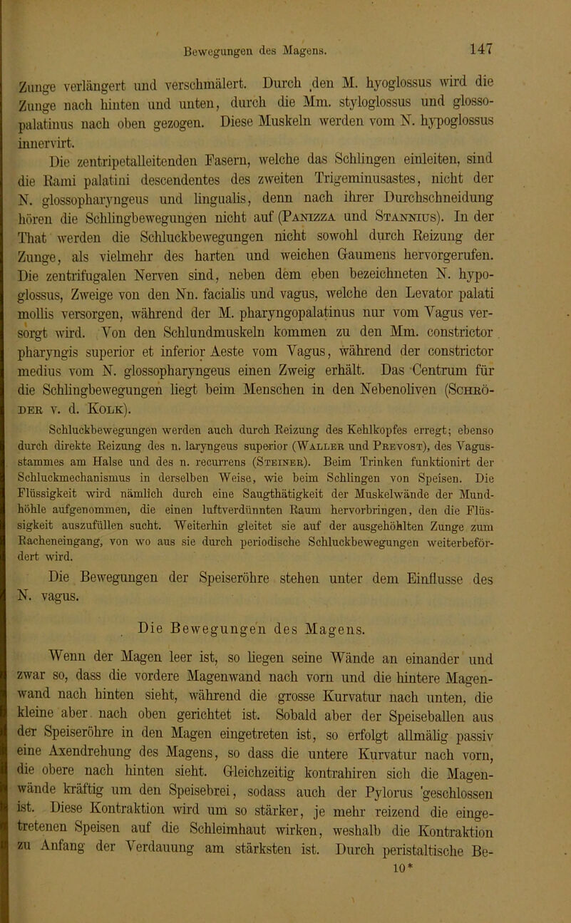 Bewegungen des Magens. Zunge verlängert und verschmälert. Durch den M. hyoglossus wird die Zunge nach hinten und unten, durch die Mm. styloglossus und glosso- palatinus nach oben gezogen. Diese Muskeln werden vom N. hypoglossus innervirt. Die zentripetalleitenden Fasern, welche das Schlingen eiuleiten, sind die Rami palatini descendentes des zweiten Trigemiuusastes, nicht der N. glossopharyngeus und lingualis, denn nach ihrer Durchschneidung hören die Schlingbewegungen nicht auf (Panizza und Stannius). In der That werden die Schluckbewegungen nicht sowohl durch Reizung der Zunge, als vielmehr des harten und weichen Gaumens hervorgerufen. Die zentrifugalen Nerven sind, neben dem eben bezeichneten N. hypo- glossus, Zweige von den Nn. facialis und vagus, welche den Levator palati mollis versorgen, während der M. pharyngopalatinus nur vom Yagus ver- sorgt wird. Von den Schlundmuskeln kommen zu den Mm. constrictor pharyngis superior et inferior Aeste vom Vagus, während der constrictor medius vom N. glossopharyngeus einen Zweig erhält. Das Centrum für die Schlingbewegungen liegt beim Menschen in den Nebenoliven (Schrö- der v. d. Kolk). Schluckbewegungen werden auch durch Reizung des Kehlkopfes erregt; ebenso durch direkte Reizung des n. laryngeus superior (Waller und Prevost), des Vagus- stamnies am Halse und des n. recurrens (Steiner). Beim Trinken funktionirt der Schluckmechanismus in derselben Weise, wie beim Schlingen von Speisen. Die Flüssigkeit wird nämlich durch eine Saugthätigkeit der Muskelwände der Mund- höhle aufgenommen, die einen luftverdünnten Raum hervorbringen, den die Flüs- sigkeit auszufüllen sucht. Weiterhin gleitet sie auf der ausgehöhlten Zunge zum Racheneingang, von wo aus sie durch periodische Schluckbewegungen weiterbeför- dert wird. Die Bewegungen der Speiseröhre stehen unter dem Einflüsse des N. vagus. Die Bewegungen des Magens. Wenn der Magen leer ist, so hegen seine Wände an einander und zwar so, dass die vordere Magenwand nach vorn und die hintere Magen- wand nach hinten sieht, während die grosse Kurvatur nach unten, die kleine aber nach oben gerichtet ist. Sobald aber der Speiseballen aus der Speiseröhre in den Magen eingetreten ist, so erfolgt allmälig passiv eine Axendrehung des Magens, so dass die untere Kurvatur nach vorn, die obere nach hinten sieht. Gleichzeitig kontrahiren sich die Magen- wände kräftig um den Speisebrei, sodass auch der Pylorus 'geschlossen ist. Diese Kontraktion wird um so stärker, je mehr reizend die einge- tretenen Speisen auf die Schleimhaut wirken, weshalb die Kontraktion zu Anfang der Verdauung am stärksten ist. Durch peristaltische Be- 10*