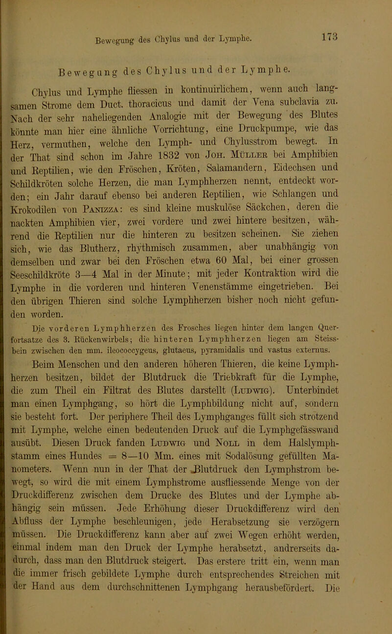 Bewegung des Chylus und der Lymphe. Chylus und Lymphe Messen in kontinuirlichem, wenn auch lang- samen Strome dem Duct. thoracicus und damit der Yena subclavia zu. Nach der sehr naheliegenden Analogie mit der Bewegung des Blutes könnte man hier eine ähnliche Vorrichtung, eine Druckpumpe, wie das Herz, vemiuthen, welche den Lymph- und Chylusstrom bewegt. In der That sind schon im Jahre 1832 von Joh. Müller hei Amphibien und Reptilien, wie den Fröschen, Kröten, Salamandern, Eidechsen und ScMldkröten solche Herzen, die man Lymphherzen nennt, entdeckt wor- den; ein Jahr darauf ebenso bei anderen Reptilien, wie Schlangen und Krokodilen von Panizza: es sind kleine muskulöse Säckchen, deren die nackten Amphibien vier, zwei vordere und zwei hintere besitzen, wäh- rend die Reptilien nur die hinteren zu besitzen scheinen. Sie ziehen sich, wie das Blutherz, rhythmisch zusammen, aber unabhängig von demselben und zwar bei den Fröschen etwa 60 Mal, bei einer grossen Seeschildkröte 3—4 Mal in der Minute; mit jeder Kontraktion wird die Lymphe in die vorderen und hinteren Venenstämme eingetrieben. Bei den übrigen Thieren sind solche Lymphherzen bisher noch nicht gefun- den worden. Die vorderen Lymphherzen des Frosches liegen hinter dem langen Quer- fortsatze des 3. Rückenwirbels; die hinteren Lymphherzen liegen am Steiss- bein zwischen den mm. ileococcygeus, glutacus, pyramidalis und vastus externus. Beim Menschen und den anderen höheren Thieren, die keine Lymph- herzen besitzen, bildet der Blutdruck die Triebkraft für die Lymphe, die zum Th eil ein Filtrat des Blutes darstellt (Ludwig). Unterbindet man einen Lymphgang, so hört die Lymphbildung nicht auf, sondern sie besteht fort. Der periphere Theil des Lymphganges füllt sich strotzend mit Lymphe, welche einen bedeutenden Druck auf die Lymphgefasswand ausübt. Diesen Druck fanden Ludwig und Noll in dem Halslymph- stamm eines Hundes =8—10 Mm. eines mit Sodalösung gefüllten Ma- nometers. Wenn nun in der That der JBlutdruck den Lymphstrom be- wegt, so wird die mit einem Lymphstrome ausMessende Menge von der Druckdifferenz zwischen dem Drucke des Blutes und der Lymphe ab- hängig sein müssen. Jede Erhöhung dieser Druckdifferenz wird den Abfluss der Lymphe beschleunigen, jede Herabsetzung sie verzögern müssen. Die Druckdifferenz kann aber auf zwei Wegen erhöht werden, einmal indem man den Druck der Lymphe herabsetzt, andrerseits da- durch, dass man den Blutdruck steigert. Das erstere tritt ein, wenn man die immer frisch gebildete Lymphe durch entsprechendes Streichen mit der Hand aus dem durchschnittenen Lymphgang herausbefördert. Die