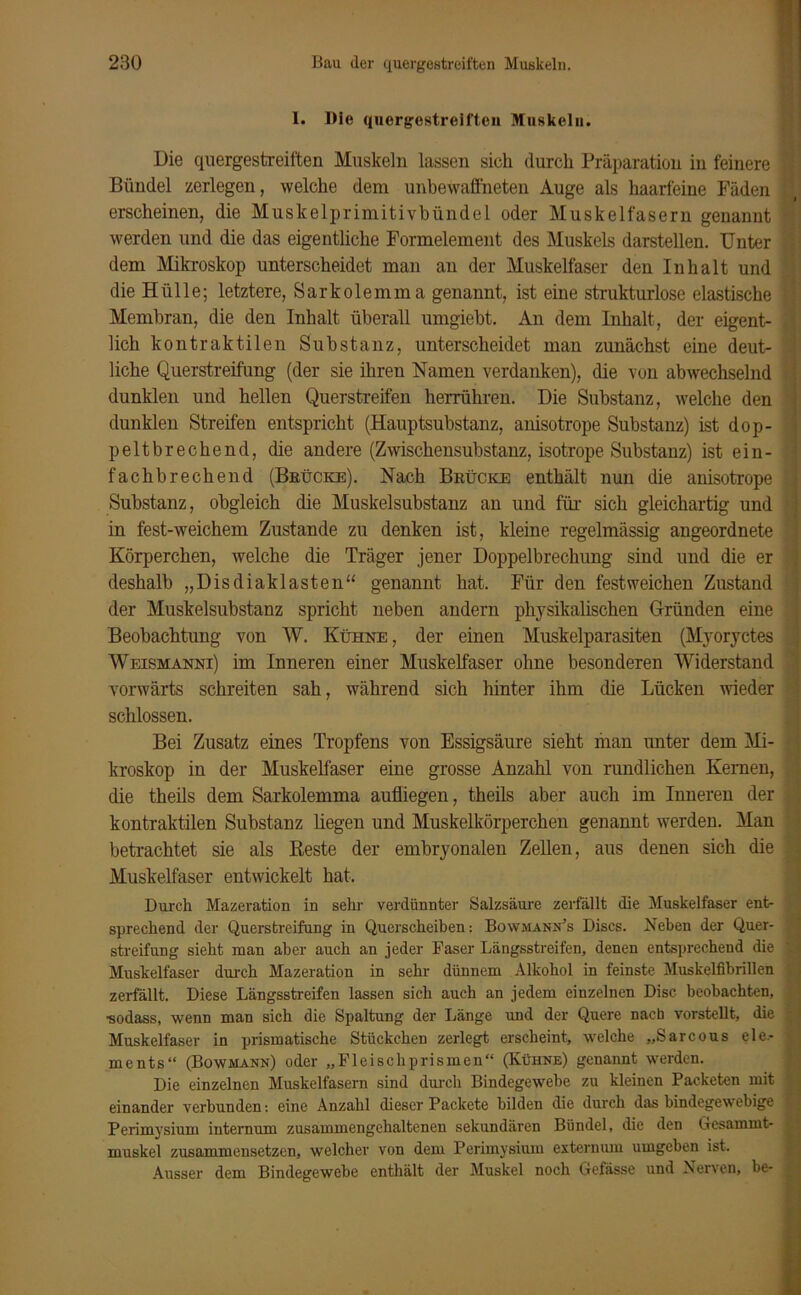 I. Die quergestreiften Muskeln. Die quergestreiften Muskeln lassen sich durch Präparation in feinere Bündel zerlegen, welche dem unbewaffneten Auge als haarfeine Fäden erscheinen, die Muskelprimitivbündel oder Muskelfasern genannt werden und die das eigentliche Formelement des Muskels darstellen. Unter dem Mikroskop unterscheidet man an der Muskelfaser den Inhalt und die Hülle; letztere, Sarkolemma genannt, ist eine strukturlose elastische Membran, die den Inhalt überall umgiebt. An dem Inhalt, der eigent- lich kontraktilen Substanz, unterscheidet man zunächst eine deut- liche Querstreifung (der sie ihren Namen verdanken), die von abwechselnd dunklen und hellen Querstreifen herrühren. Die Substanz, welche den dunklen Streifen entspricht (Hauptsubstanz, anisotrope Substanz) ist dop- peltbrechend, die andere (Zwischensubstanz, isotrope Substanz) ist ein- fachbrechend (Brücke). Nach Brücke enthält nun die anisotrope Substanz, obgleich die Muskelsubstanz an und für sich gleichartig und in fest-weichem Zustande zu denken ist, kleine regelmässig angeordnete Körperchen, welche die Träger jener Doppelbrechung sind und die er deshalb „Disdiaklasten“ genannt hat. Für den festweichen Zustand der Muskelsubstanz spricht neben andern physikalischen Gründen eine Beobachtung von W. Kühne, der einen Muskelparasiten (Myoryctes Weismannt) im Inneren einer Muskelfaser ohne besonderen Widerstand vorwärts schreiten sah, während sich hinter ihm die Lücken wieder schlossen. Bei Zusatz eines Tropfens von Essigsäure sieht man unter dem Mi- kroskop in der Muskelfaser eine grosse Anzahl von rundlichen Kernen, die theils dem Sarkolemma aufliegen, theils aber auch im Inneren der kontraktilen Substanz liegen und Muskelkörperchen genannt werden. Man betrachtet sie als Reste der embryonalen Zellen, aus denen sich die Muskelfaser entwickelt hat. Durch Mazeration in sehr verdünnter Salzsäure zerfällt die Muskelfaser ent- sprechend der Querstreifung in Querscheiben: Bowmann’s Discs. Neben der Quer- streifung sieht man aber auch an jeder Faser Längsstreifen, denen entsprechend die Muskelfaser durch Mazeration in sehr dünnem Alkohol in feinste Muskelfibrillen zerfällt. Diese Längsstreifen lassen sich auch an jedem einzelnen Disc beobachten, •sodass, wenn man sich die Spaltung der Länge und der Quere nach vorstellt, die Muskelfaser in prismatische Stückchen zerlegt erscheint, welche „Sarcous ele- ments“ (Bowmann) oder „Fleischprismen“ (Kühne) genannt werden. Die einzelnen Muskelfasern sind durch Bindegewebe zu kleinen Packeten mit einander verbunden: eine Anzahl dieser Packete bilden die durch das bindegewebige Perimysium internum zusammengehaltenen sekundären Bündel, die den Gesammt- muskel zusammensetzen, welcher von dem Perimysium externum umgeben ist. Ausser dem Bindegewebe enthält der Muskel noch Gefässe und Nerven, be-
