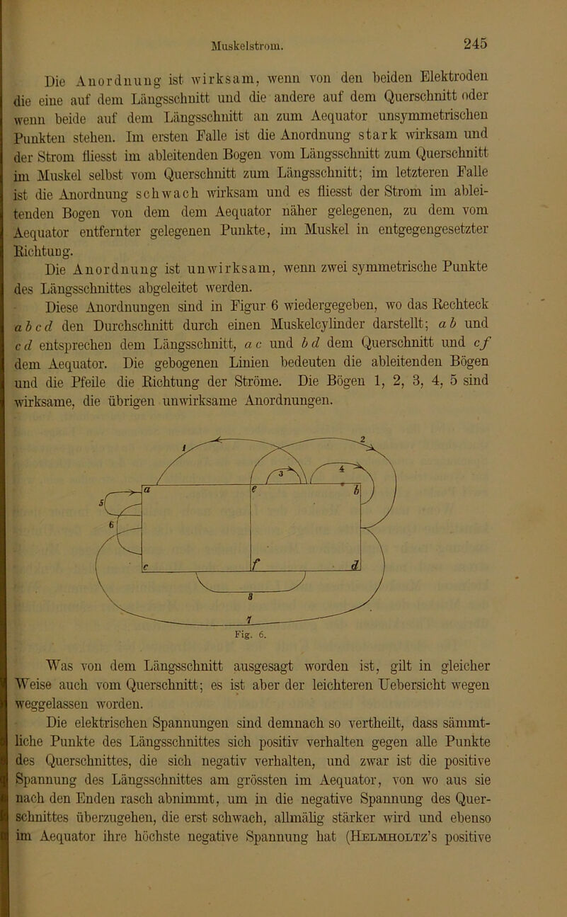 Die Anordnung' ist wirksam, wenn von den beiden Elektroden die eine auf dem Längsschnitt und die andere auf dem Querschnitt oder wenn beide auf dem Längsschnitt an zum Aequator unsymmetrischen Punkten stehen. Im ersten Falle ist die Anordnung stark wirksam und der Strom fiiesst im ableitenden Bogen vom Längsschnitt zum Querschnitt im Muskel selbst vom Querschnitt zum Längsschnitt; im letzteren Falle ist die Anordnung schwach wirksam und es fiiesst der Strom im ablei- tenden Bogen von dem dem Aequator näher gelegenen, zu dem vom Aequator entfernter gelegenen Punkte, im Muskel in entgegengesetzter Kicktu ug. Die Anordnung ist unwirksam, wenn zwei symmetrische Punkte des Längsschnittes abgeleitet werden. Diese Anordnungen sind in Figur 6 wiedergegeben, wo das Rechteck ab cd den Durchschnitt durch einen Muskelcy linder darstellt; ab und c d entsprechen dem Längsschnitt, a c und b d dem Querschnitt und cf dem Aequator. Die gebogenen Linien bedeuten die ableitenden Bögen und die Pfeile die Richtung der Ströme. Die Bögen 1, 2, 3, 4, 5 sind wirksame, die übrigen unwirksame Anordnungen. Was von dem Längsschnitt ausgesagt worden ist, gilt in gleicher Weise auch vom Querschnitt; es ist aber der leichteren Uebersickt wegen weggelassen worden. Die elektrischen Spannungen sind demnach so vertheilt, dass sänimt- liche Punkte des Längsschnittes sich positiv verhalten gegen alle Punkte des Querschnittes, die sich negativ verhalten, und zwar ist die positive Spannung des Längsschnittes am grössten im Aequator, von wo aus sie nach den Enden rasch abnimmt, um in die negative Spannung des Quer- schnittes überzugehen, die erst schwach, allmälig stärker wird und ebenso im Aequator ihre höchste negative Spannung hat (Helmholtz’s positive