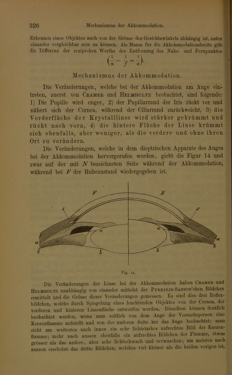 Erkennen eines Objektes auch von der Grösse des Gesichtswinkels abhängig ist, untei einander vergleichbar sein zu können. Als Maass für die Akkommodationsbreite gilt die Differenz der reziproken Werthe der - Entfernung des Nahe- und Fernpunktes Mechanismus der Akkummudatiou. Die Veränderungen, welche bei der Akkommodation am Auge ein- treten, zuerst von Cbamer und Helmholtz beobachtet, sind folgende: 1) Die Pupille wird enger, 2) der Pupillarrand der Iris rückt vor und nähert sich der Cornea, während der Ciliarrand zurückweicht, 3) die Vorderfläche der Kry stalllinse wird stärker gekrümmt und rückt nach vorn, 4) die hintere Fläche der Linse krümmt sich ebenfalls, aber weniger, als die vordere und ohne ihren Ort zu verändern. Die Veränderungen, welche in dem dioptrischen Apparate des Auges hei der Akkommodation hervorgerufen werden, giebt die Figur 14 und zwar auf der mit N bezeichneten Seite während der Akkommodation, während hei F der Ruhezustand wiedergegeben ist. Fig. 14. Die Veränderungen der Linse bei der Akkommodation haben Gramer und Helmholtz unabhängig von einander mittelst der PuRRiNJE-SANSOifcken Bildchen ermittelt und die Grösse dieser Veränderungen gemessen. Es sind dies drei Keflex- bildchen, welche durch Spiegelung eines leuchtenden Objektes von der Cornea, der vorderen und hinteren Linsenfläche entworfen werden. Dieselben können deutlich beobachtet werden, wenn man seitlich von dem Auge der Versuchsperson eine Kerzenflamme aufstellt und von der anderen Seite her das Auge beobachtet: man sieht am weitesten nach innen ein sehr lichtstarkes aufrechtes Bild der Kerzen- flamme; mehr nach aussen ebenfalls ein aufrechtes Bildchen der Flamme, etwas grösser als das andere, aber sehr lichtschwach und verwaschen; am meisten nach aussen erscheint das dritte Bildchen, welches viel kleiner als die beiden vorigen ist.