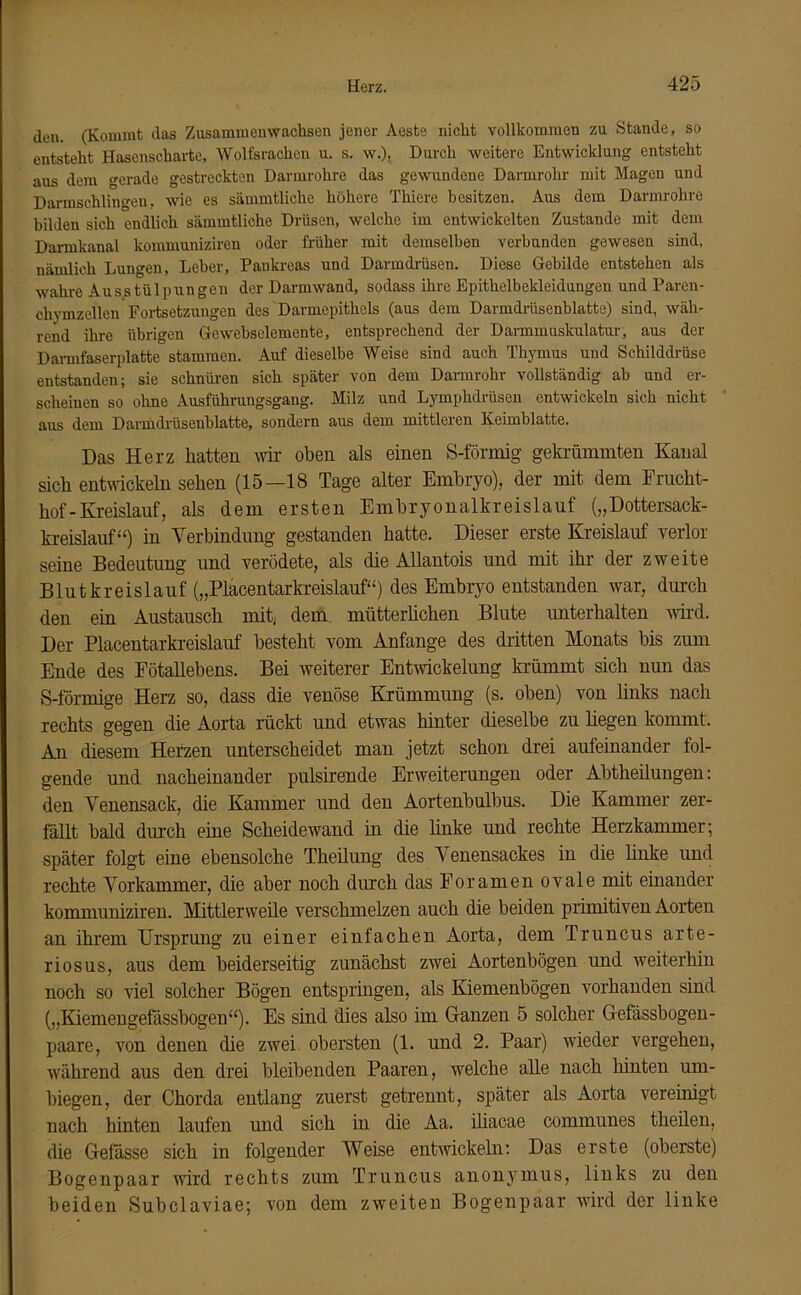 den. (Kommt das Zusammenwachsen jener Aeste nicht vollkommen zu Stande, so entsteht Hasenscharte, Wolfsrachen u. s. w.). Durch weitere Entwicklung entsteht aus dem gerade gestreckten Darmrohre das gewundene Darmrohr mit Magen und Darmschlingen, wie es sämmtliche höhere Thicre besitzen. Aus dem Darmrohre bilden sich endlich sämmtliche Drüsen, welche im entwickelten Zustande mit dem Darmkanal kommuniziren oder früher mit demselben verbunden gewesen sind, nämlich Lungen, Leber, Pankreas und Darmdrüsen. Diese Gebilde entstehen als wahre Ausstülpungen der Darmwand, sodass ihre Epithelbekleidungen und Paren- chymzellen Fortsetzungen des Darmcpithels (aus dem Darmdrüsenblatte) sind, wäh- rend ihre übrigen Gewebsclemente, entsprechend der Darmmuskulatur, aus der Darmfaserplatte stammen. Auf dieselbe Weise sind auch Thymus und Schilddrüse entstanden; sie schnüren sich später von dem Dannrohr vollständig ab und er- scheinen so ohne Ausführungsgang. Milz und Lymphdrüsen entwickeln sich nicht ans dem Darmdrüsenblatte, sondern aus dem mittleren Keimblatte. Das Herz hatten wir oben als einen S-förmig gekrümmten Kanal sich entwickeln sehen (15—18 Tage alter Embryo), der mit dem Frucht- hof-Kreislauf, als dem ersten Embryonalkreislauf („Dottersack- kreislauf“) in Verbindung gestanden hatte. Dieser erste Kreislauf verlor seine Bedeutung und verödete, als die Allantois und mit ihr der zweite Blutkreislauf („Placentarkreislauf“) des Embryo entstanden war, durch den ein Austausch mit, dem mütterlichen Blute unterhalten wird. Der Placentarkreislauf besteht vom Anfänge des dritten Monats bis zum Ende des Fötallebens. Bei weiterer Entwickelung krümmt sich nun das S-förmige Herz so, dass die venöse Krümmung (s. oben) von links nach rechts gegen die Aorta rückt und etwas hinter dieselbe zu hegen kommt. An diesem Herzen unterscheidet man jetzt schon drei aufeinander fol- gende und nacheinander pulsirende Erweiterungen oder Abtheilungen: den Venensack, die Kammer und den Aortenbulbus. Die Kammer zer- fällt bald durch eine Scheidewand in die linke und rechte Herzkammer; später folgt eine ebensolche Theilung des Venensackes in die linke und rechte Vorkammer, die aber noch durch das Foramen ovale mit einander kommuniziren. Mittlerweile verschmelzen auch die beiden primitiven Aorten an ihrem Ursprung zu einer einfachen Aorta, dem Truncus arte- riosus, aus dem beiderseitig zunächst zwei Aortenbögen und weiterhin noch so viel solcher Bögen entspringen, als Kiemenbögen vorhanden sind („Kiemengefässbogen“). Es sind dies also im Ganzen 5 solcher Gefässbogen- paare, von denen die zwei obersten (1. und 2. Paar) wieder vergehen, während aus den drei bleibenden Paaren, welche alle nach hinten um- biegen, der Chorda entlang zuerst getrennt, später als Aorta vereinigt nach hinten laufen und sich in die Aa. iliacae communes theilen, die Gefässe sich in folgender Weise entwickeln: Das erste (oberste) Bogenpaar wird rechts zum Truncus anonymus, links zu den beiden Subclaviae; von dem zweiten Bogenpaar wird der linke