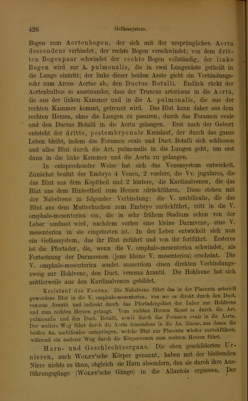 Bogen zum Aortenbogen, der sich mit der ursprünglichen Aorta descendens verbindet, der rechte Bogen verschwindet; von dem drit- ten Bogenpaar schwindet der rechte Bogen vollständig, der linke Bogen wird zur A. pulmonalis, die in zwei Lungenäste getheilt in die Lunge eintritt; der linke dieser beiden Aeste giebt ein Yerbindungs- rohr zum Arcus Aortae ab, den Ductus Botalli. Endlich rückt der Aortenbulbus so auseinander, dass der Truncus arteriosus in die Aorta, die aus der linken Kammer und in die A. pulmonalis, die aus der rechten Kammer kommt, getrennt wird. Das Blut kann daher aus dem rechten Herzen, ohne die Lungen zu passiren, durch das Foramen ovale und den Ductus Botalli in die Aorta gelangen. Erst nach der Geburt entsteht der dritte, postembryonale Kreislauf, der durch das ganze Leben bleibt, indem das Foramen ovale und Duct. Botalli sich schliessen und alles Blut durch die Art. pulmonalis in die Lungen geht, um erst dann in die linke Kammer und die Aorta zu gelangen. In entsprechender Weise hat sich das Venensystem entwickelt. Zunächst besitzt der Embryo 4 Venen, 2 vordere, die Vv. jugulares, die das Blut aus dem Kopftheil und 2 hintere, die Kardinalvenen, die das Blut aus dem Hintertheil zum Herzen zurückführen. Diese stehen mit der Nabelvene in folgender Verbindung: die V. umbilicalis, die das Blut aus dem Mutterkuchen zum Embryo zurückführt, tritt in die V. omphalo-mesenterica ein, die in sehr frühem Stadium schon von der Leber umfasst wird, nachdem vorher eine kleine Darmvene, eine A. mesenterica in sie eingetreten ist. In der Leber entwickelt sich nun ein Gefässsystem, das ihr Blut zuführt und von ihr fortführt. Ersteres ist die Pfortader, die, wenn die V. omphalo-mesenterica schwindet, als Fortsetzung der Darmvenen (jene kleine V. mesenterica) erscheint. Die V. omphalo-mesenterica sendet ausserdem einen direkten \ erbindungs- zweig zur Hohlvene, den Duct. venosus Arantii. Die Hohlvene hat sich mittlerweile aus den Kardinalvenen gebildet. Kreislauf des Foetus. Die Nabelvene führt das in der Placenta arteriell gewordene Blut in die V. omphalo-mesenterica, von wo es direkt durch den Duct. venosus Arantii und indirekt durch das Pfortadergebiet der Leber zur Hohlvene und zum rechten Herzen gelangt. Vom rechten Herzen fliesst es durch die Art. pulmonalis und den Duct. Botalli, sowie durch das Foramen ovale in die Aorta. Der weitere Weg führt durch die Aorta descendens in die Aa. iliacae, aus denen die beiden Aa. umbilicales entspringen, welche Blut zur Placenta wieder zuruckfuhren, während ein anderer Weg durch die Körpervenen zum rechten Herzen führt. Harn- und Geschlechtsorgane. Die oben geschilderten Ur- nieren, auch AVoLHe’sche Körper genannt, haben mit der bleibenden Niere nichts zu thun, obgleich sie Harn absondern, den sie durch ihre Aus- lührungsgänge (AVoLir’sche Gänge) in die Allantois ergiessen. Der