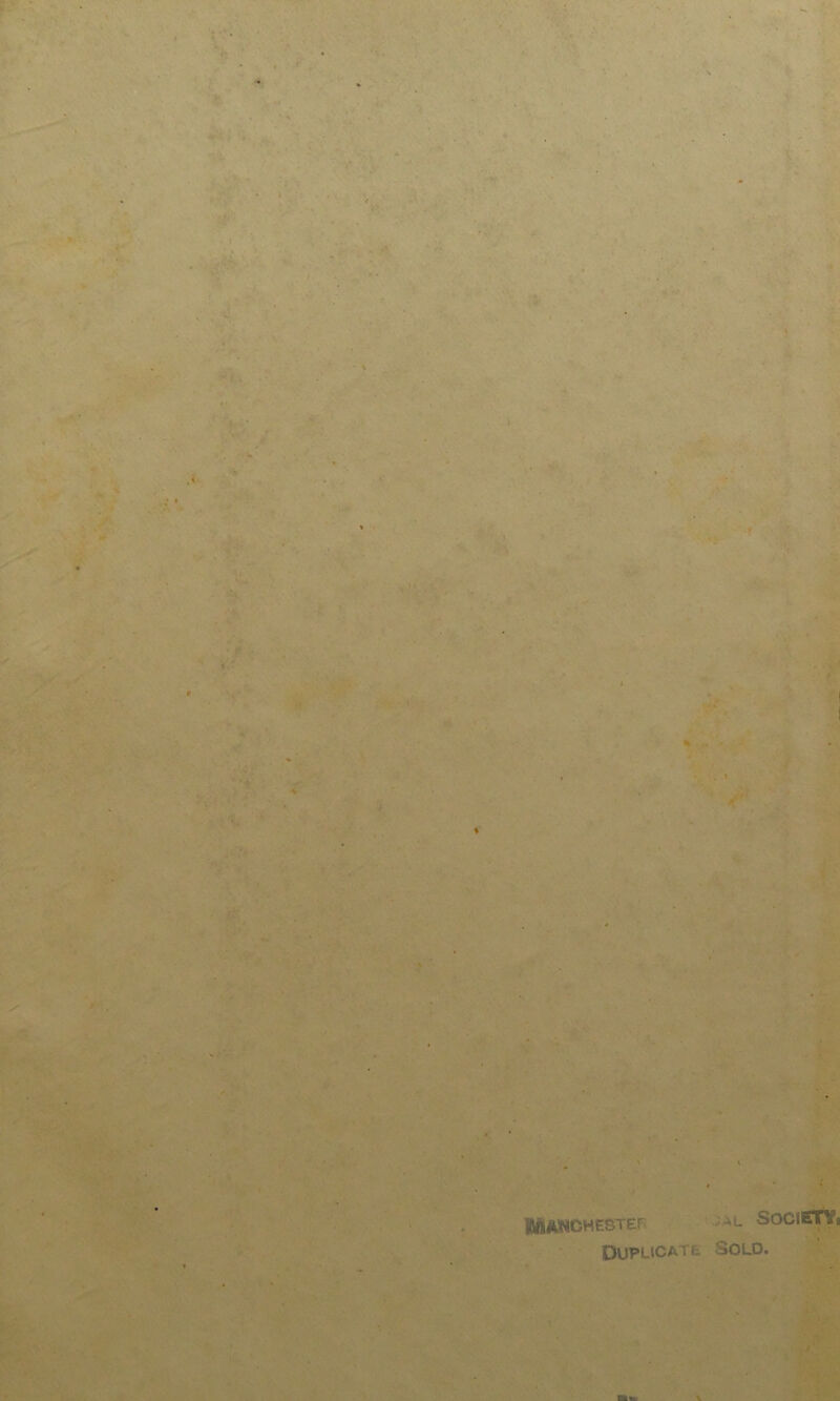 MlUMCHESTEr iAL Socierti Dupucate Sold. atM \
