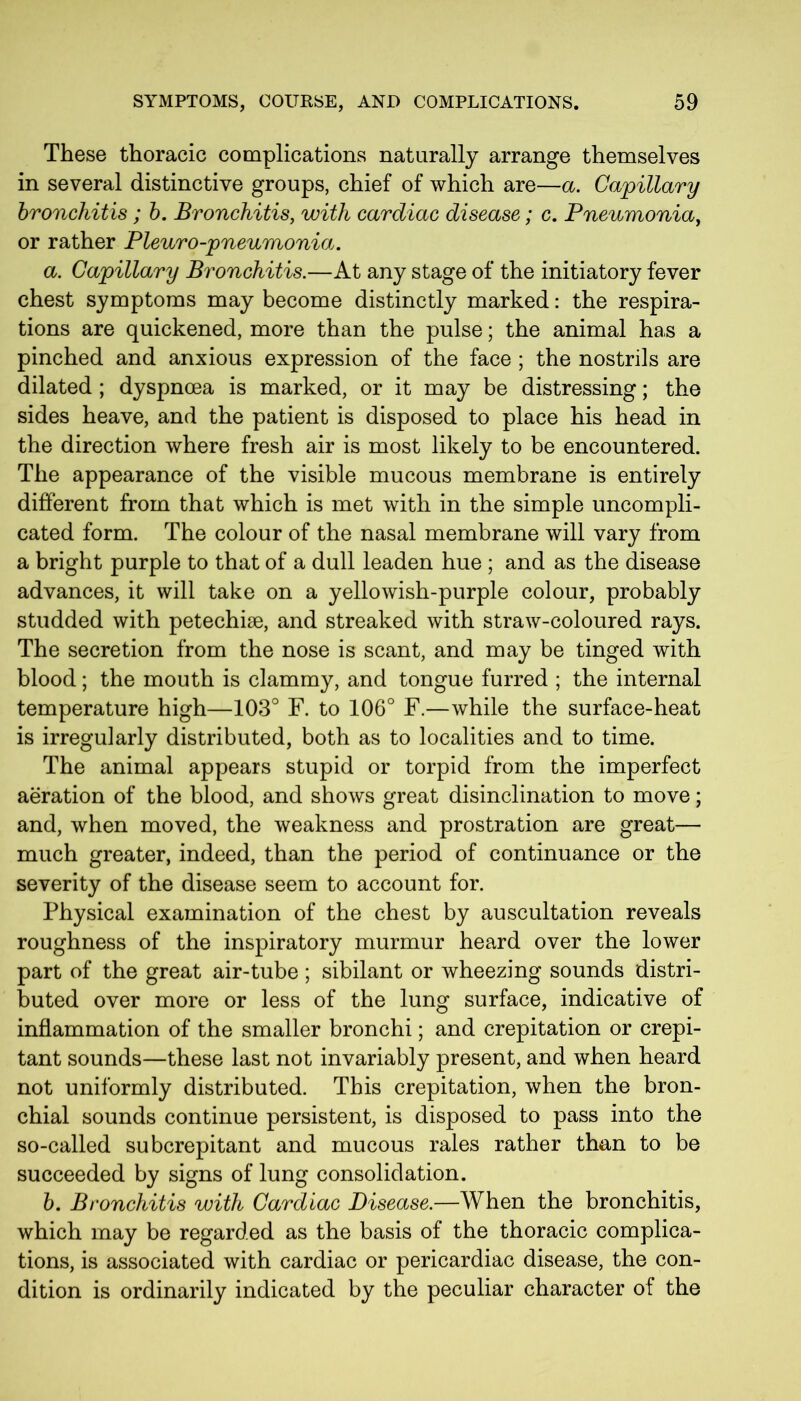 These thoracic complications naturally arrange themselves in several distinctive groups, chief of which are—a. Capillary bronchitis; b. Bronchitis, with cardiac disease; c. Pneumonia, or rather Pleuro-pneumonia. a. Capillary Bronchitis.—At any stage of the initiatory fever chest symptoms may become distinctly marked: the respira- tions are quickened, more than the pulse; the animal has a pinched and anxious expression of the face ; the nostrils are dilated ; dyspnoea is marked, or it may be distressing; the sides heave, and the patient is disposed to place his head in the direction where fresh air is most likely to be encountered. The appearance of the visible mucous membrane is entirely different from that which is met with in the simple uncompli- cated form. The colour of the nasal membrane will vary from a bright purple to that of a dull leaden hue ; and as the disease advances, it will take on a yellowish-purple colour, probably studded with petechise, and streaked with straw-coloured rays. The secretion from the nose is scant, and may be tinged with blood; the mouth is clammy, and tongue furred ; the internal temperature high—103° F. to 106° F.—while the surface-heat is irregularly distributed, both as to localities and to time. The animal appears stupid or torpid from the imperfect aeration of the blood, and shows great disinclination to move; and, when moved, the weakness and prostration are great— much greater, indeed, than the period of continuance or the severity of the disease seem to account for. Physical examination of the chest by auscultation reveals roughness of the inspiratory murmur heard over the lower part of the great air-tube; sibilant or wheezing sounds distri- buted over more or less of the lung surface, indicative of inflammation of the smaller bronchi; and crepitation or crepi- tant sounds—these last not invariably present, and when heard not uniformly distributed. This crepitation, when the bron- chial sounds continue persistent, is disposed to pass into the so-called subcrepitant and mucous rales rather than to be succeeded by signs of lung consolidation. b. Bronchitis with Cardiac Disease.—When the bronchitis, which may be regarded as the basis of the thoracic complica- tions, is associated with cardiac or pericardiac disease, the con- dition is ordinarily indicated by the peculiar character of the