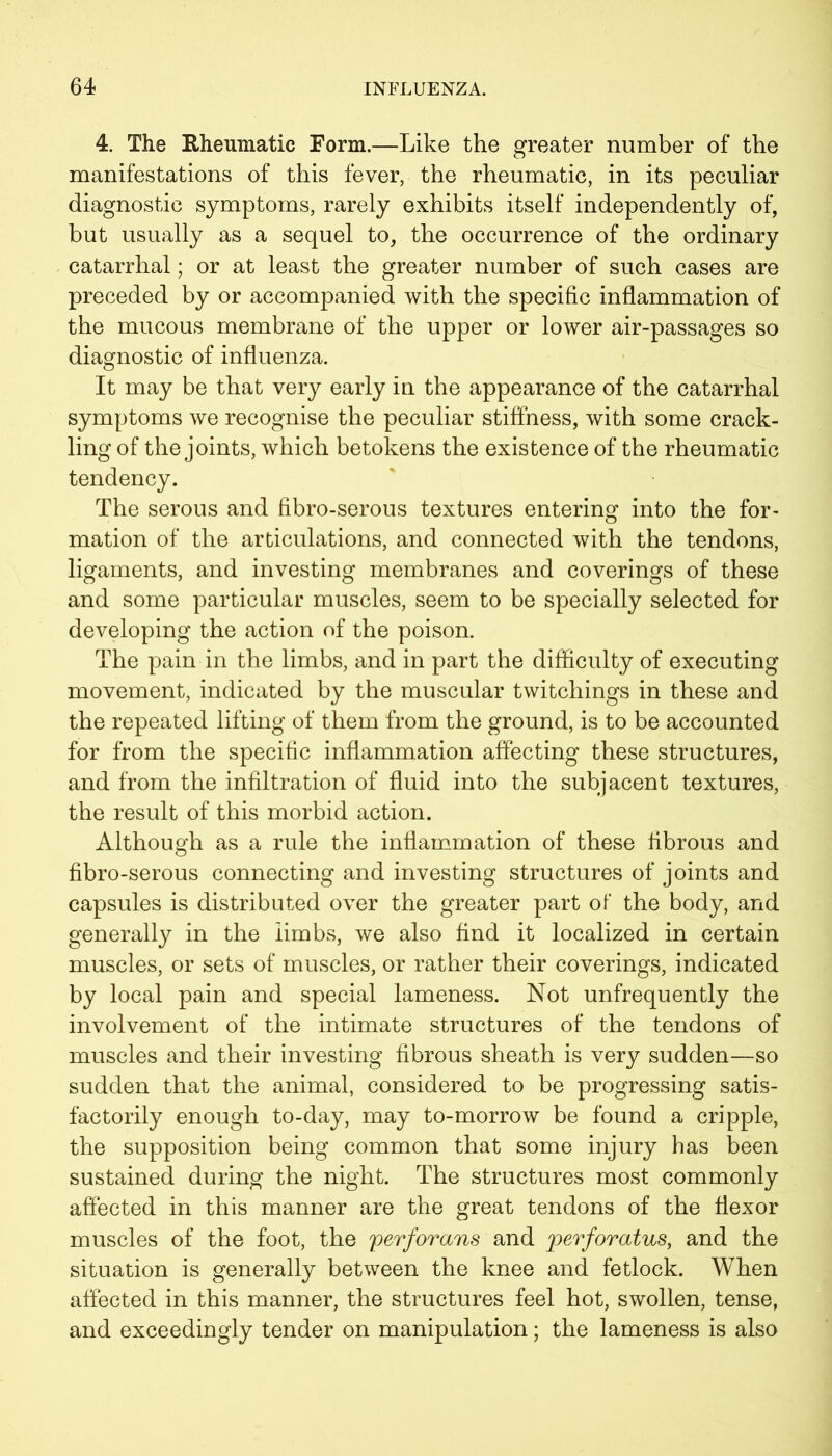4. The Rheumatic Form.—Like the greater number of the manifestations of this fever, the rheumatic, in its peculiar diagnostic symptoms, rarely exhibits itself independently of, but usually as a sequel to, the occurrence of the ordinary catarrhal; or at least the greater number of such cases are preceded by or accompanied with the specific inflammation of the mucous membrane of the upper or lower air-passages so diagnostic of influenza. It may be that very early in the appearance of the catarrhal symptoms we recognise the peculiar stiffness, with some crack- ling of the joints, which betokens the existence of the rheumatic tendency. The serous and fibro-serous textures entering into the for- mation of the articulations, and connected with the tendons, ligaments, and investing membranes and coverings of these and some particular muscles, seem to be specially selected for developing the action of the poison. The pain in the limbs, and in part the difficulty of executing movement, indicated by the muscular twitchings in these and the repeated lifting of them from the ground, is to be accounted for from the specific inflammation affecting these structures, and from the infiltration of fluid into the subjacent textures, the result of this morbid action. Although as a rule the inflammation of these fibrous and fibro-serous connecting and investing structures of joints and capsules is distributed over the greater part of the body, and generally in the limbs, we also find it localized in certain muscles, or sets of muscles, or rather their coverings, indicated by local pain and special lameness. Not unfrequently the involvement of the intimate structures of the tendons of muscles and their investing fibrous sheath is very sudden—so sudden that the animal, considered to be progressing satis- factorily enough to-day, may to-morrow be found a cripple, the supposition being common that some injury has been sustained during the night. The structures most commonly affected in this manner are the great tendons of the flexor muscles of the foot, the perforans and perforatus, and the situation is generally between the knee and fetlock. When affected in this manner, the structures feel hot, swollen, tense, and exceedingly tender on manipulation; the lameness is also
