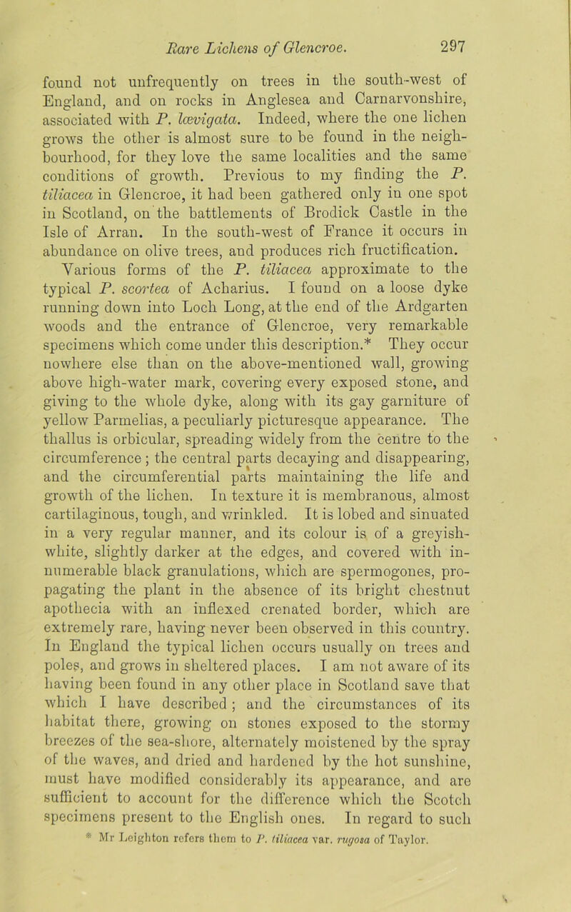 found not unfrequently on trees in the south-west of England, and on rocks in Anglesea and Carnarvonshire, associated with P. Icevigata. Indeed, where the one lichen grows the other is almost sure to be found in the neigh- bourhood, for they love the same localities and the same conditions of growth. Previous to my finding the P. tiliacea in Glencroe, it had been gathered only in one spot in Scotland, on the battlements of Brodick Castle in the Isle of Arran. In the south-west of France it occurs in abundance on olive trees, and produces rich fructification. Various forms of the P. tiliacea approximate to the typical P. scortea of Acharius. I found on a loose dyke running down into Loch Long, at the end of the Ardgarten woods and the entrance of Glencroe, very remarkable specimens which come under this description.* They occur nowhere else than on the above-mentioned wall, growing- above high-water mark, covering every exposed stone, and giving to the whole dyke, along with its gay garniture of yellow Parmelias, a peculiarly picturesque appearance. The thallus is orbicular, spreading widely from the centre to the circumference; the central parts decaying and disappearing, and the circumferential parts maintaining the life and growth of the lichen. In texture it is membranous, almost cartilaginous, tough, and wrinkled. It is lobed and sinuated in a very regular manner, and its colour is of a greyish- white, slightly darker at the edges, and covered with in- numerable black granulations, which are spermogones, pro- pagating the plant in the absence of its bright chestnut apothecia with an indexed crenated border, which are extremely rare, having never been observed in this country. In England the typical lichen occurs usually on trees and poles, and grows in sheltered places. I am not aware of its having been found in any other place in Scotland save that which I have described ; and the circumstances of its habitat there, growing on stones exposed to the stormy breezes of the sea-shore, alternately moistened by the spray of the waves, and dried and hardened by the hot sunshine, must have modified considerably its appearance, and are sufficient to account for the difference which the Scotch specimens present to the English ones. In regard to such ' Mr Leighton refers them to I', tiliacea var. rugosa of Taylor.