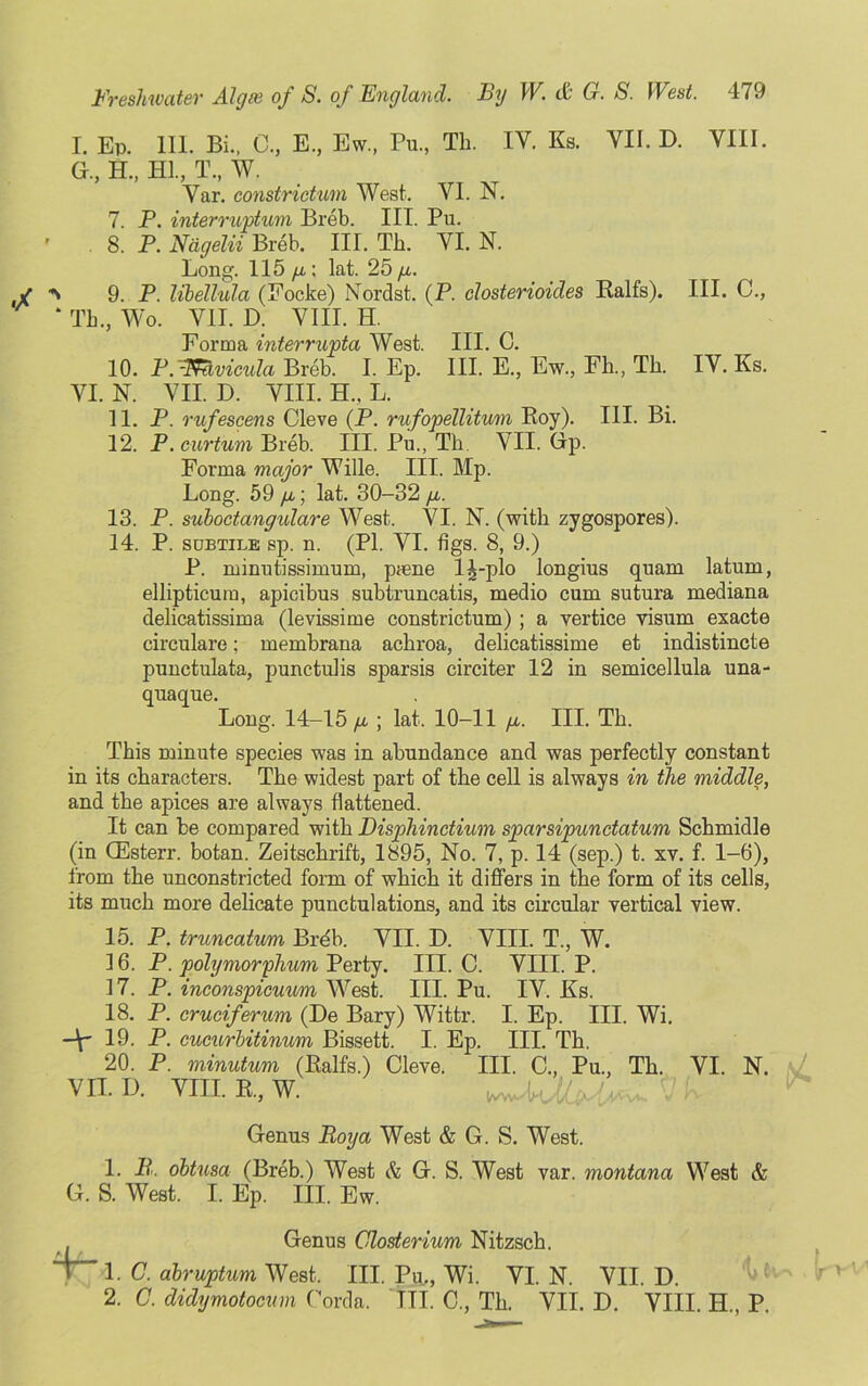 I. Ep. 111. Bi., C., E, Ew, Pu., Tb. IV. Ks. YU. D. YIII. G, H, HI, T, W. Yar. constrictum West. VI. N. 7. P. interruption Breb. III. Pu. . 8. P. Nagelii Breb. III. Tb. YI. N. Long. 115/a; lat. 25p. a 9. P. libellula (Focke) Nordst. (P closterioides Ralfs). III. C, * Tb, Wo. VII. D. VIII. H. Forma interrupta West. III. C. 10. P/-l¥avicula Breb. I. Ep. III. E, Ew, Fb, Tb. IY. Ks. YI. N. YII. D. YIII. H., L. 11. P. rufescens Cleve (P. rufopellitum Boy). III. Bi. 12. P.curtum Breb. III. Pu, Th VII. Grp. Forma major Wille. III. Mp. Long. 59 p; lat. 30-32 p. 13. P. suboctangulare West. YI. N. (with zygospores). 14. P. subtile sp. n. (PI. VI. figs. 8, 9.) P. minutissimum, paene 1^-plo longius quam latum, ellipticum, apicibus subtruncatis, medio cum sutura mediana delicatissima (levissime constrictum) ; a vertice visum exacte circulare; membrana acbroa, delicatissime et indistincte punctulata, punctulis sparsis circiter 12 in semicellula una- quaque. Long. 14-15 p ; lat. 10-11 p. III. Tb. This minute species was in abundance and was perfectly constant in its characters. Tbe widest part of tbe cell is always in the middle, and tbe apices are always flattened. It can be compared with Disphinctium sparsipundatum Scbmidle (in CEsterr. botan. Zeitscbrift, 1895, No. 7, p. 14 (sep.) t. xv. f. 1-6), from tbe unconstricted form of wbicb it differs in tbe form of its cells, its much more delicate punctulations, and its circular vertical view. 15. P. truncatum Brdb. YII. D. VIII. T, W. 16. P. polymorfhum Perty. III. C. YIII. P. 17. P. inconspicuum West. III. Pu. IV. Ks. 18. P. cruciferum (De Bary) Wittr. I. Ep. III. Wi. —V* 19. P. cucurbitinum Bissett. I. Ep. III. Tb. 20. P. minutum (Ealfs.) Cleve. III. C, Pu, Tb. YI. N. VII. D. VTH. R, W. Genus Boy a West & G. S. West. 1. B. obtusa (Breb.) West & G. S. West var. montana West & G. S. West. I. Ep. Ill, Ew. Genus Closterium Nitzscb. 1. C. abruptum West. III. Pu,, Wi. YI. N. YII. D. 2. C. didymotocinn Corda. TIT. 0, Tb. VII. D. YIII. H„ P.