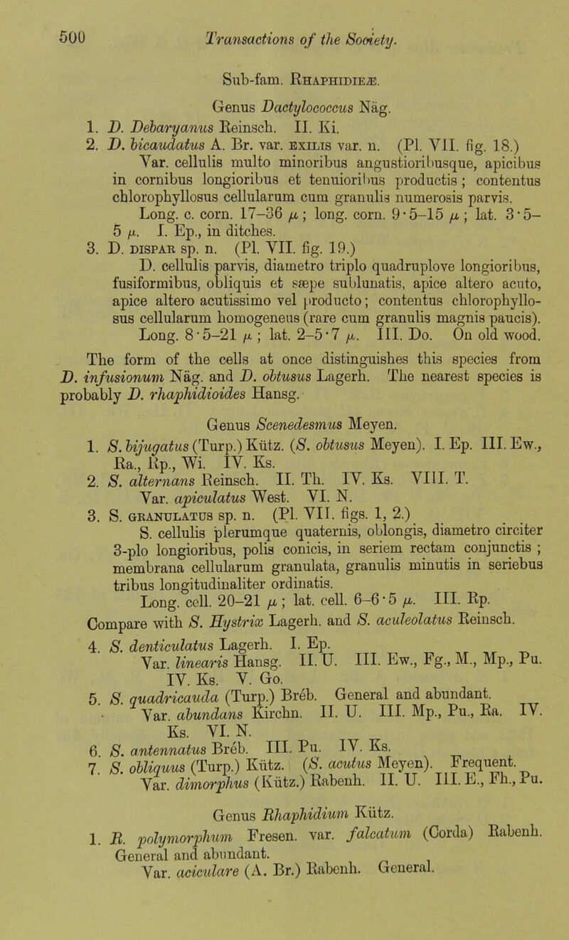 Sub-fam. RHAPHiDiEiE. Genus Dactylococcus Nag. 1. B. Debaryanus Reinsch. II. Ki. 2. B. bicaudatus A. Br. var. exilis var. n. (PI. VII. fig. 18.) Var. cellulis multo minoribus angustioribusque, apicibus in cornibus longioribus et tenuioribus productis ; contentus cbloropbyllosus cellularum cum granulis numerosis parvis. Long. c. corn. 17-36 /a; long. corn. 9*5-15 /a ; lat. 3*5- 5 fj.. I. Ep., in ditches. 3. D. dispar sp. n. (PI. VII. fig. 19.) D. cellulis parvis, diametro triplo quadrupleve longioribus, fusiformibus, obliquis et ssepe sublunatis, apice altero acuto, apice altero acutissimo vel producto; contentus chlorophyllo- sus cellularum homogeneus (rare cum granulis magnis paucis). Long. 8*5-21 /a ; lat. 2-5*7 /a. III. Do. On old wood. The form of the cells at once distinguishes this species from B. infusionum Nag. and B. obtusus Lagerh. The nearest species is probably D. rhaphidioides Hansg. Genus Scenedesmus Meyen. 1. 8. bijuqatus (Turp.) Kiitz. (S. obtusus Meyen). I. Ep. III. Ew., Ra.,Rp.,Wi. IV. Ks. 2. S. alternans Reinsch. II. Th. IV. Ks. VIII. T. Var. apiculatus West. VI. N. 3. S. GRANULATUS Sp. n. (PI. VII. figS. 1, 2.) S. cellulis plerumque quaternis, oblongis, diametro circiter 3-plo longioribus, polis conicis, in seriem rectam conjunctis ; membrana cellularum granulata, granulis minutis in seriebus tribus longitudinaliter ordinatis. Long. cell. 20-21 /a ; lat. cell. 6-6*5 /a. III. Ep. Compare with S. Hystrix Lagerh. and S. aculeolatus Reinsch. 4. 5. S. denticulatus Lagerh. I. Ep. Var. linearis Hansg. II. U. IV. Ks. V. Go. III. Ew., Fg„ M., Mp., Pu. S. quadricauda (Turp.) Breb. General and abundant. Var. abundans Kirchn. II. U. III. Mp., Pu., Ra. IV. Ks. VI. N. 6 S. antennatus Breb. III. Pu. IV. Ks. 7. S. obliquus (Turp.) Kiitz. (S. acutus Meyen). Frequent. Var. dimorphus (Kiitz.) Rabenh. II. U. III. E., Fh., Pu. Genus Bhaphidium Kiitz. 1. B. polymorphism Fresen. var. falcatum (Corda) Rabenh. General and abundant. Var. aciculare (A. Br.) Rabenh. General.