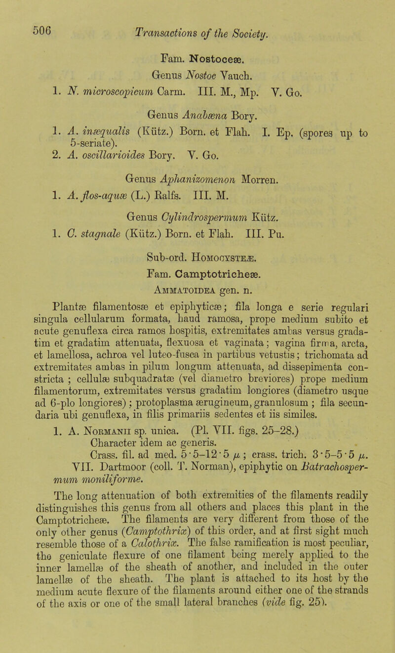 50G Fam. Nostoce®. Genus Nostoc Yaucli. 1. N. microscopicum Carm. III. M., Mp. Y. Go. Genus Anabsena Bory. 1. A. inxqualis (Kiitz.) Born, et Flak I. Ep. (spores up to 5-seriate). 2. A. oscillarioides Bory. Y. Go. Genus Aplianizomenon Morren. 1. A. fos-aquse (L.) Ralfs. III. M. Genus Cylindrospermum Kiitz. 1. G. stagnate (Kiitz.) Born, et Flah. III. Pu. Sub-ord. Homooyste^:. Fam. Camptotriche®. Ammatoidea gen. n. Plant® filamentos® et epiphytic®; fila longa e serie regulari singula cellularum formata, Laud ramosa, prope medium subito et acute genuflexa circa ramos hospitis, extremitates ambas versus grada- tim et gradatim attenuata, flexuosa et vaginata; vagina firm a, arcta, et lamellosa, achroa vel luteo-fusca in partibus vetustis; trichomata ad extremitates ambas in pilum longum attenuata, ad dissepimenta con- stricta ; cellul® subquadrat® (vel diametro breviores) prope medium filamentorum, extremitates versus gradatim longiores (diametro usque ad 6-plo longiores): protoplasma ®rugineum, granulosum ; fila secun- daria ubi genuflexa, in filis primariis sedentes et iis similes. 1. A. Normanii sp. unica. (PI. VII. figs. 25-28.) Character idem ac generis. Crass, fil. ad med. 5’5-12'5 p; crass, trich. 3’ 5-5'5 p. VII. Dartmoor (coll. T. Norman), epiphytic on Batrachosper- mum moniliforme. The long attenuation of both extremities of the filaments readily distinguishes this genus from all others and places this plant in the Camptotriche®. The filaments are very different from those of the only other genus (Camptothrix) of this order, and at first sight much resemble those of a Calothrix. The false ramification is most peculiar, the geniculate flexure of one filament being merely applied to the inner lamell® of the sheath of another, and included in the outer lamell® of the sheath. The plant is attached to its host by the medium acute flexure of the filaments around either one of the strands of the axis or one of the small lateral branches (vide fig. 25).