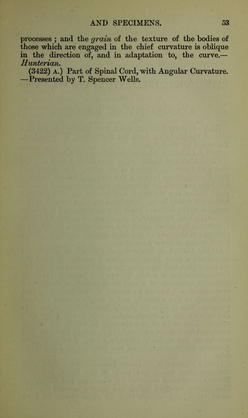 processes ; and the grain of the texture of the bodies of those which are engaged in the chief curvature is oblique in the direction of, and in adaptation to, the curve.— Hunterian. (3422) A.) Part of Spinal Cord, with Angular Curvature. —Presented by T. Spencer Wells.