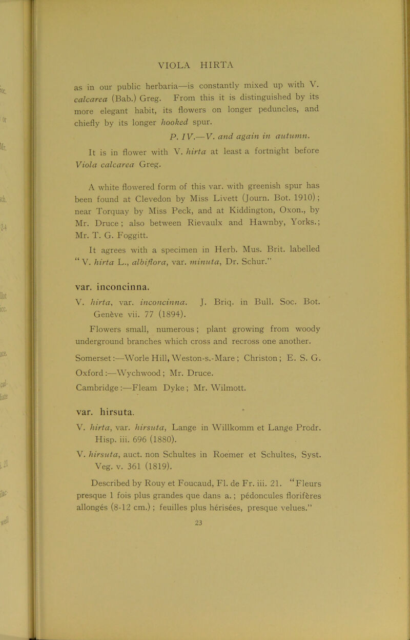 as in our public herbaria—is constantly mixed up with V. calcarea (Bab.) Greg. From this it is distinguished by its more elegant habit, its flowers on longer peduncles, and chiefly by its longer hooked spur. P. IV.— V. and again in autumn. It is in flower with V. hirta at least a fortnight before Viola calcarea Greg. A white flowered form of this var. with greenish spur has been found at Clevedon by Miss Livett (Journ. Bot. 1910) ; near Torquay by Miss Peck, and at Kiddington, Oxon., by Mr. Druce; also between Rievaulx and Hawnby, Yorks.; Mr. T. G. Foggitt. It agrees with a specimen in Herb. Mus. Brit, labelled “ V. hirta L., albiflora, var. minuta, Dr. Schur.” var. inconcinna. V. hirta, var. inconcinna. J. Briq. in Bull. Soc. Bot. Geneve vii. 77 (1894). Flowers small, numerous; plant growing from woody underground branches which cross and recross one another. Somerset:—Worle Hill, Weston-s.-Mare ; Christon ; E. S. G. Oxford :—Wychwood ; Mr. Druce. Cambridge :—Fleam Dyke ; Mr. Wilmott. var. hirsuta. V. hirta, var. hirsuta, Lange in Willkomm et Lange Prcdr. Hisp. iii. 696 (1880). V. hirsuta, auct. non Schultes in Roemer et Schultes, Syst. Veg. v. 361 (1819). Described by Rouy et Foucaud, FI. de Fr. iii. 21. “Fleurs presque 1 fois plus grandes que dans a.; pedoncules floriRres allonges (8-12 cm.); feuilles plus herisees, presque velues.”