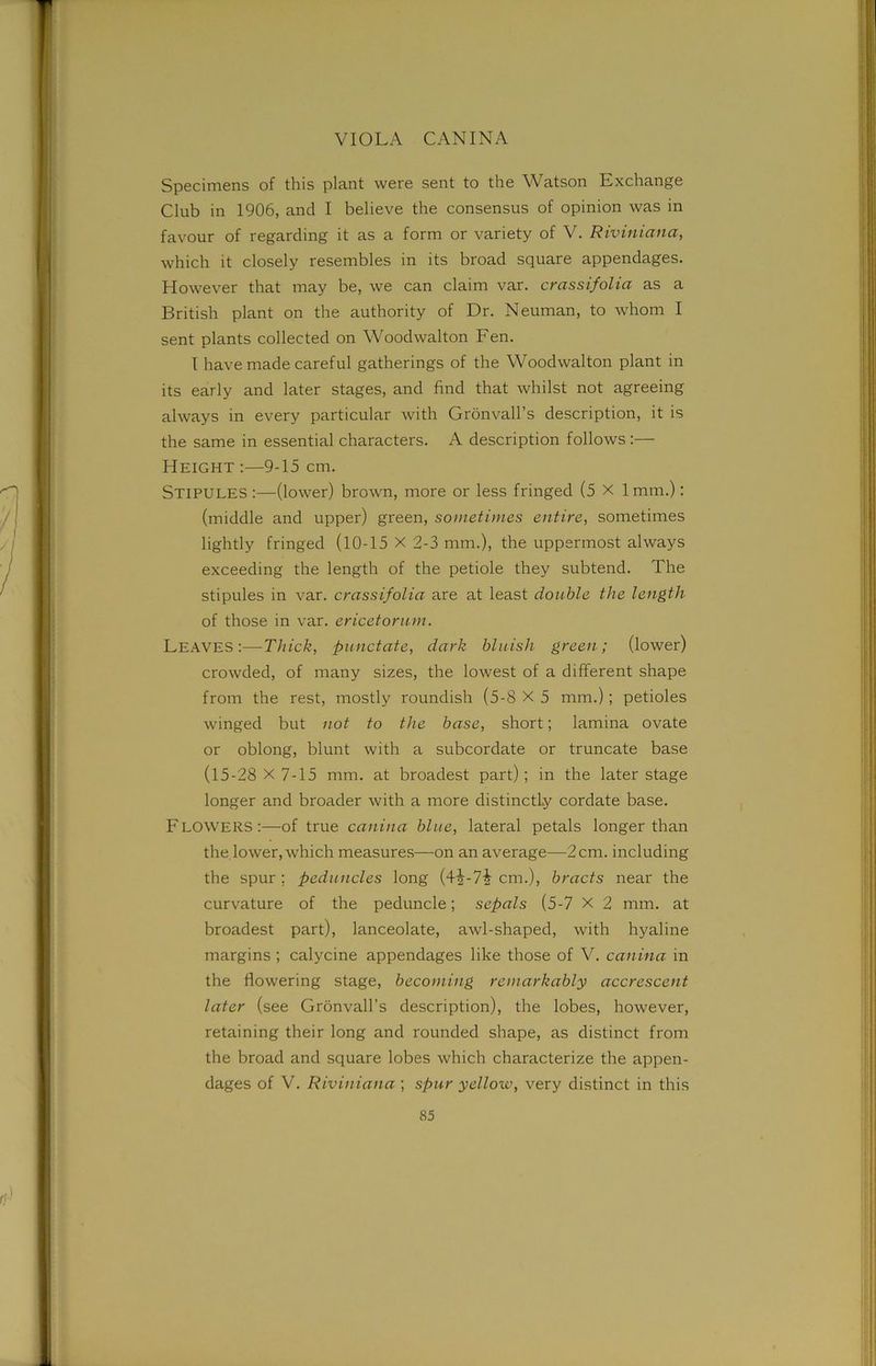 Specimens of this plant were sent to the Watson Exchange Club in 1906, and I believe the consensus of opinion was in favour of regarding it as a form or variety of V. Riviniana, which it closely resembles in its broad square appendages. However that may be, we can claim var. crassifolia as a British plant on the authority of Dr. Neuman, to whom I sent plants collected on Woodwalton Fen. I have made careful gatherings of the Woodwalton plant in its early and later stages, and find that whilst not agreeing always in every particular with Gronvall’s description, it is the same in essential characters. A description follows :—- Height :—9-15 cm. STIPULES:—(lower) brown, more or less fringed (5 X 1mm.): (middle and upper) green, sometimes entire, sometimes lightly fringed (10-15 X 2-3 mm.), the uppermost always exceeding the length of the petiole they subtend. The stipules in var. crassifolia are at least double the length of those in var. ericetorum. Leaves:—Thick, punctate, dark bluish green; (lower) crowded, of many sizes, the lowest of a different shape from the rest, mostly roundish (5-8 X 5 mm.); petioles winged but not to the base, short; lamina ovate or oblong, blunt with a subcordate or truncate base (15-28 X 7-15 mm. at broadest part) ; in the later stage longer and broader with a more distinctly cordate base. FLOWERS:—of true canina blue, lateral petals longer than the lower, which measures—on an average—2 cm. including the spur ; peduncles long (4^-74 cm.), bracts near the curvature of the peduncle; sepals (5-7 X 2 mm. at broadest part), lanceolate, awl-shaped, with hyaline margins ; calycine appendages like those of V. canina in the flowering stage, becoming remarkably accrescent later (see Gronvall’s description), the lobes, however, retaining their long and rounded shape, as distinct from the broad and square lobes which characterize the appen- dages of V. Riviniana ; spur yellow, very distinct in this