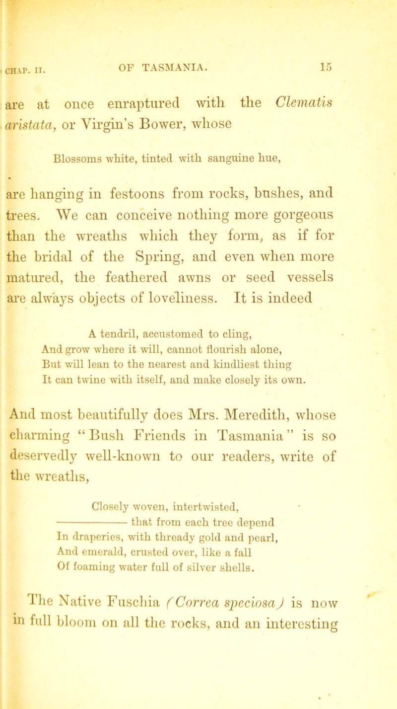 are at once enraptured with the Clematis aristata, or Virgin’s Bower, whose Blossoms white, tinted with sanguine hue, are hanging in festoons from rocks, bushes, and trees. We can conceive nothing more gorgeous than the wreaths which they form, as if for the bridal of the Spring, and even when more matured, the feathered awns or seed vessels are always objects of loveliness. It is indeed A tendril, accustomed to cling, And grow where it will, cannot flourish alone, But will lean to the nearest and kindliest thing It can twine with itself, and make closely its own. And most beautifully does Mrs. Meredith, whose charming “Bush Friends in Tasmania” is so deservedl)r well-known to our readers, write of the wreaths, Closely woven, intertwisted, that from each tree depend In draperies, with thready gold and pearl, And emerald, crusted over, like a fall Of foaming water full of silver shells. The Native Fuschia ('Correa speciosa) is now in full bloom on all the rocks, and an interesting