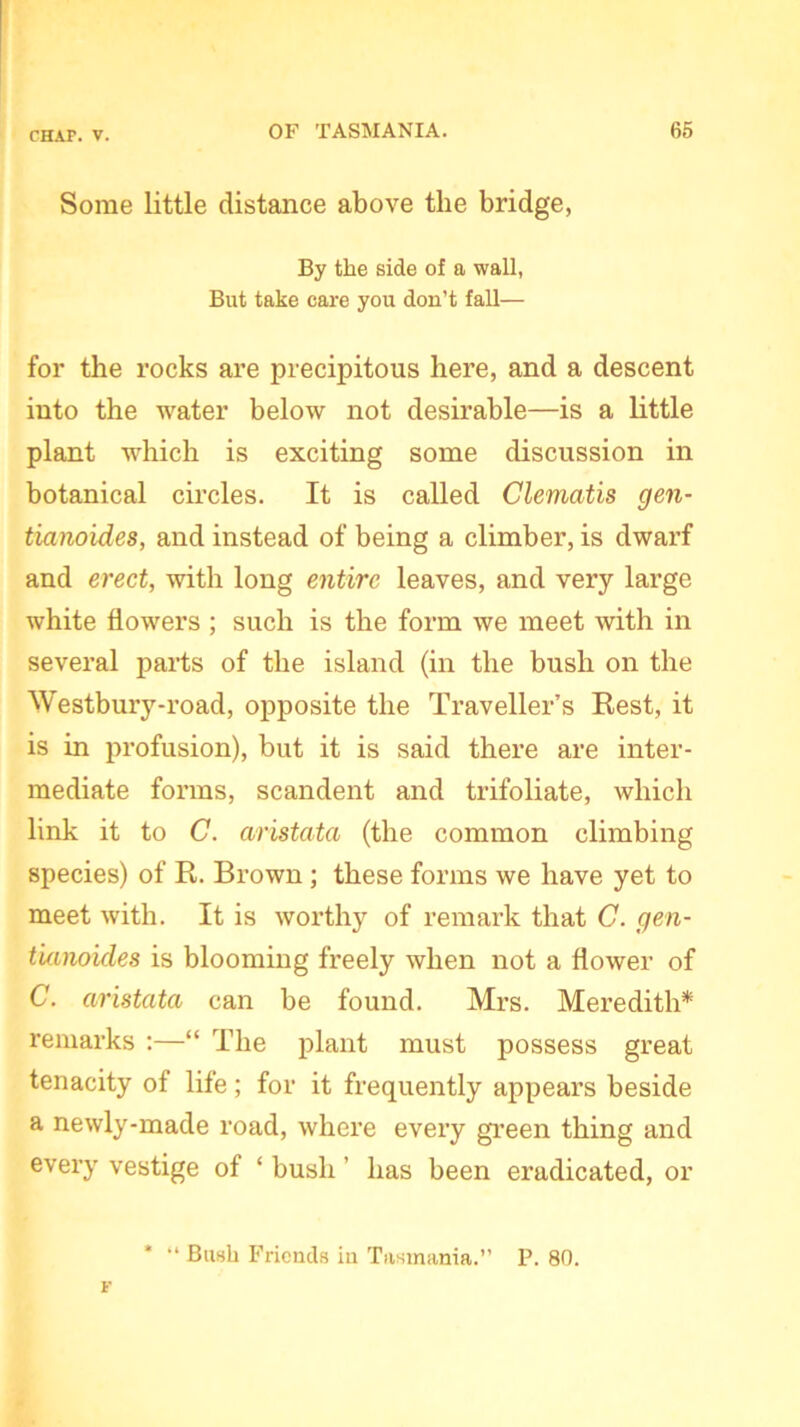 Some little distance above the bridge, By the side of a wall, But take care you don’t fall— for the rocks are precipitous here, and a descent into the water below not desirable—is a little plant which is exciting some discussion in botanical circles. It is called Clematis gen- tianoides, and instead of being a climber, is dwarf and erect, with long entire leaves, and very large white flowers ; such is the form we meet with in several parts of the island (in the bush on the Westbury-road, opposite the Traveller’s Rest, it is in profusion), but it is said there are inter- mediate forms, scandent and trifoliate, which link it to C. aristata (the common climbing species) of R. Brown ; these forms we have yet to meet with. It is worthy of remark that C. gen- tianoules is blooming freely when not a flower of C. aristata can be found. Mrs. Meredith* remarks :—“ The plant must possess great tenacity of life; for it frequently appears beside a newly-made road, where every green thing and every vestige of ‘ bush' has been eradicated, or “ Bush Friends in Tasmania.” P. 80.