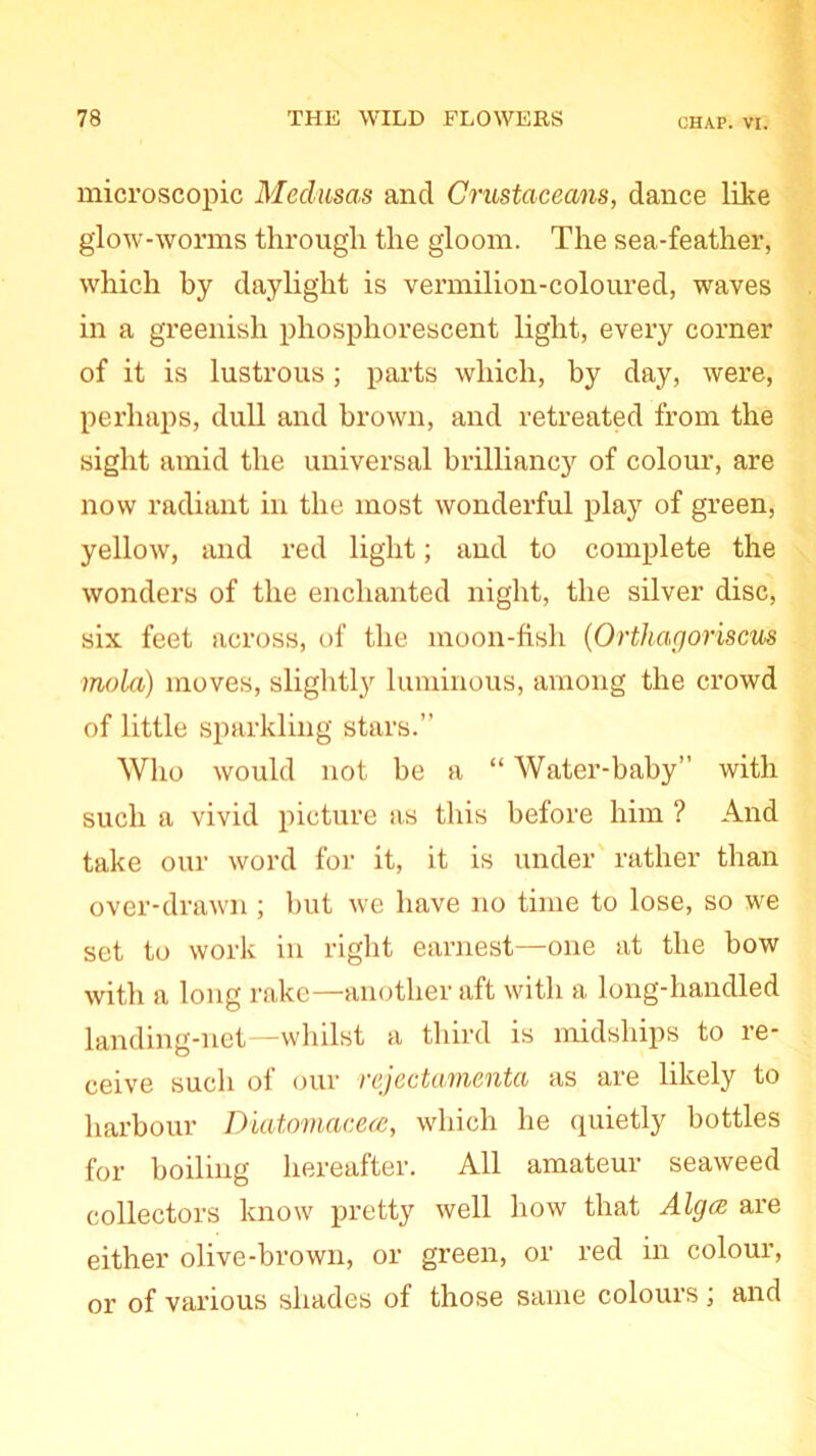 microscopic Medusas and Crustaceans, dance Eke glow-worms through the gloom. The sea-feather, which by daylight is vermilion-coloured, waves in a greenish phosphorescent light, every corner of it is lustrous; parts which, by day, were, perhaps, dull and brown, and retreated from the sight amid the universal brilliancy of colour, are now radiant in the most wonderful play of green, yellow, and red light; and to complete the wonders of the enchanted night, the silver disc, six feet across, of the moon-fish (Orthagoriscus mold) moves, slightly luminous, among the crowd of little sparkling stars.” Who would not he a “ Water-baby” with such a vivid picture as this before him ? And take our word for it, it is under rather than over-drawn ; hut we have no time to lose, so we set to work in right earnest—one at the bow with a long rake—another aft with a long-handled landing-net—whilst a third is midships to re- ceive such of our rejectamenta as are likely to harbour Diatomacea, which he quietly bottles for boiling hereafter. All amateur seaweed collectors know pretty well how that Alga, are either olive-brown, or green, or red in colour, or of various shades of those same colours; and