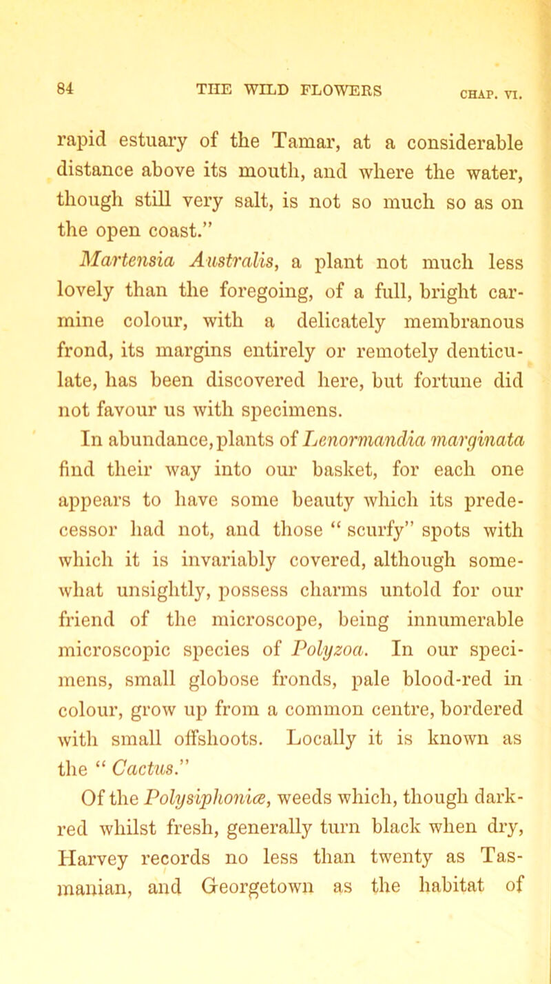 CHAP. vi. rapid estuary of the Tamar, at a considerable distance above its mouth, and where the water, though still very salt, is not so much so as on the open coast.” Martensia Australis, a plant not much less lovely than the foregoing, of a full, bright car- mine colour, with a delicately membranous frond, its margins entirely or remotely denticu- late, has been discovered here, but fortune did not favour us with specimens. In abundance, plants of Lenoj’manclia marginata find their way into our basket, for each one appears to have some beauty which its prede- cessor had not, and those “ scurfy” spots with which it is invariably covered, although some- what unsightly, possess charms untold for our friend of the microscope, being innumerable microscopic species of Polyzoa. In our speci- mens, small globose fronds, pale blood-red in colour, grow up from a common centre, bordered with small offshoots. Locally it is known as the “ Cactus.” Of the Polysiphonice, weeds which, though dark- red whilst fresh, generally turn black when dry, Harvey records no less than twenty as Tas- manian, and Georgetown as the habitat of