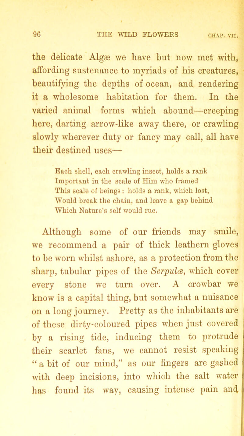 the delicate Algae we have but now met with, affording sustenance to myriads of his creatures, beautifying the depths of ocean, and rendering it a wholesome habitation for them. In the varied animal forms which abound—creeping here, darting arrow-like away there, or crawling slowly wherever duty or fancy may call, all have their destined uses— Each shell, each crawling insect, holds a rank Important in the scale of Him who framed This scale of beings: holds a rank, which lost, Would break the chain, and leave a gap behind Which Nature’s self would rue. Although some of our friends may smile, we recommend a pair of thick leathern gloves to be worn whilst ashore, as a protection from the sharp, tubular pipes of the Scrpulce, which cover every stone we turn over. A crowbar we know is a capital thing, but somewhat a nuisance on a long journey. Pretty as the inhabitants are < of these dirty-coloured pipes when just covered by a rising tide, inducing them to protrude their scarlet fans, we cannot resist speaking “ a bit of our mind,” as our fingers are gashed with deep incisions, into which the salt water has found its way, causing intense pain and