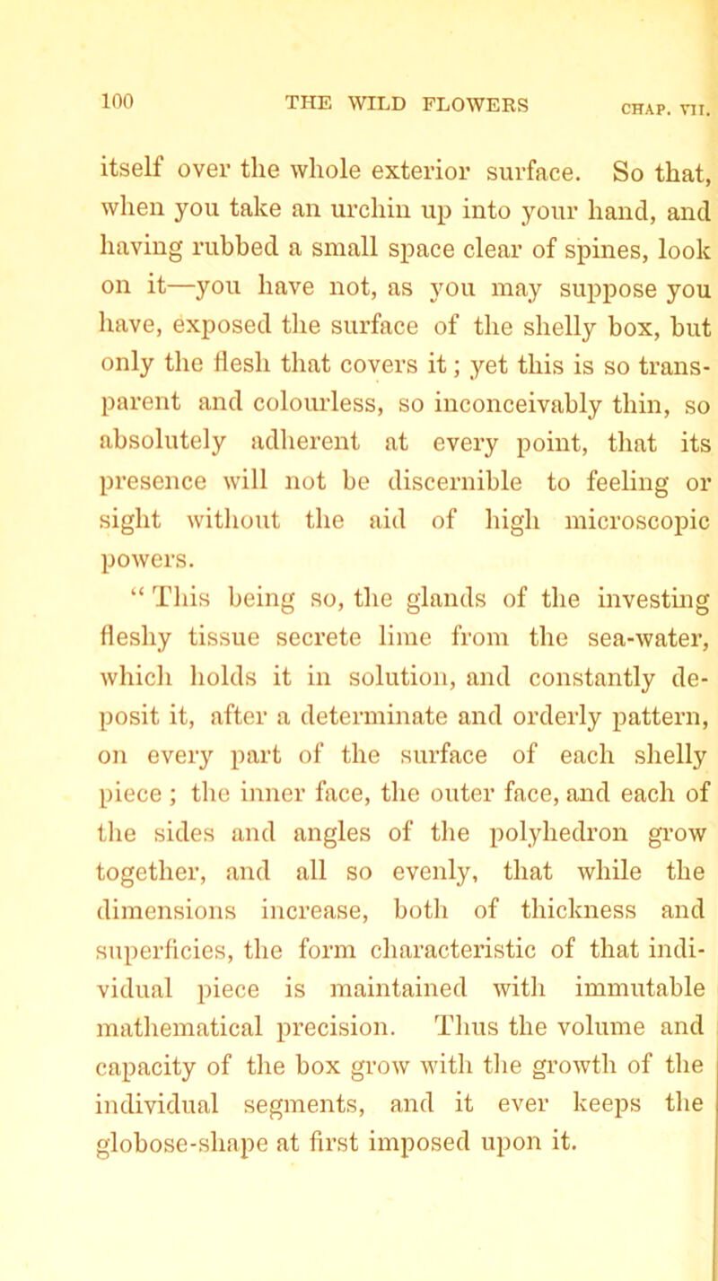 CHAP. VII. itself over the whole exterior surface. So that, when you take an urchin up into your hand, and having rubbed a small space clear of spines, look on it—you have not, as you may suppose you have, exposed the surface of the shelly box, but only the flesh that covers it; yet this is so trans- parent and colourless, so inconceivably thin, so absolutely adherent at every point, that its presence will not be discernible to feeling or sight without the aid of high microscopic powers. “ This being so, the glands of the investing fleshy tissue secrete lime from the sea-water, which holds it in solution, and constantly de- posit it, after a determinate and orderly pattern, on every part of the surface of each shelly piece ; the inner face, the outer face, and each of the sides and angles of the polyhedron grow together, and all so evenly, that while the dimensions increase, both of thickness and superficies, the form characteristic of that indi- vidual piece is maintained with immutable mathematical precision. Thus the volume and capacity of the box grow with the growth of the individual segments, and it ever keeps the globose-shape at first imposed upon it.