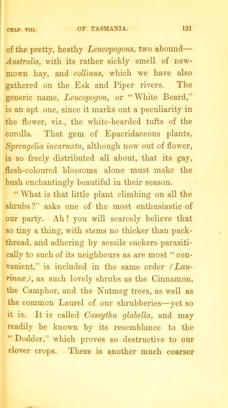 of the pretty, heathy Leucopogons, two abound— Australis, with its rather sickly smell of new- mown hay, and collinus, which we have also gathered on the Esk and Piper rivers. The generic name, Leucopogon, or “ White Beard,” is an apt one, since it marks out a peculiarity in the flower, viz., the white-bearded tufts of the corolla. That gem of Epacridaceous plants, Sprengelia incarnata, although now out of flower, is so freely distributed all about, that its gay, flesh-coloured blossoms alone must make the bush enchantingly beautiful in their season. “ What is that little plant climbing on all the shrubs?” asks one of the most enthusiastic of our party. Ah ! you will scarcely believe that so tiny a thing, with stems no thicker than pack- thread, and adhering by sessile suckers parasiti- cally to such of its neighbours as are most “ con- vanient,” is included in the same order fLau- rinecej, as such lovely shrubs as the Cinnamon, the Camphor, and the Nutmeg trees, as well as the common Laurel of our shrubberies—yet so it is. It is called Cassytha glabella, and may readily be known by its resemblance to the “ Dodder,” which proves so destructive to our clover crops. There is another much coarser
