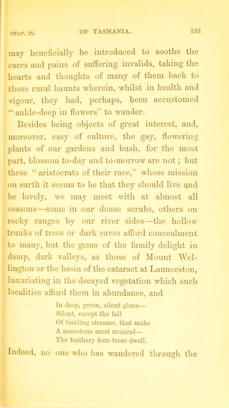 may beneficially be introduced to soothe the cares and pains of suffering invalids, taking the hearts and thoughts of many of them back to those rural haunts wherein, whilst in health and vigour, they had, perhaps, been accustomed “ ankle-deep in flowers” to wander. Besides being objects of great interest, and, moreover, easy of culture, the gay, flowering plants of our gardens and bush, for the most part, blossom to-day and to-morrow are not; but these “ aristocrats of their race,” whose mission on earth it seems to be that they should live gnd be lovely, we may meet with at almost all seasons—some in our dense scrubs, others on rocky ranges by our river sides—the hollow trunks of trees or dark caves afford concealment to many, but the gems of the family delight in damp, dark valleys, as those of Mount Wel- lington or the basin of the cataract at Launceston, luxuriating in the decayed vegetation which such localities afford them in abundance, and In deep, green, silent glens— Silent, except the fall Of tinkling streams, that make A monotone most musical— The feathery fern-trees dwell. Indeed, no one who has wandered through the