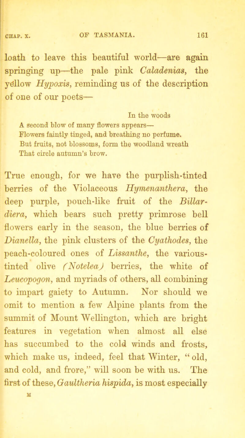 loath to leave this beautiful world—are again springing up—the pale pink Caladenias, the yellow Hypoxis, reminding us of the description of one of our poets— In the woods A second blow of many flowers appears— Flowers faintly tinged, and breathing no perfume. But fruits, not blossoms, form the woodland wreath That circle autumn’s brow. True enough, for we have the purplish-tinted berries of the Violaceous Hymenanthera, the deep purple, pouch-like fruit of the Billar- diera, which bears such pretty primrose bell flowers early in the season, the blue berries of Dianella, the pink clusters of the Cyathodes, the peach-coloured ones of Lissanthe, the various- tinted olive (NoteleaJ berries, the white of Leucopoyon, and myriads of others, all combining to impart gaiety to Autumn. Nor should we omit to mention a few Alpine plants from the summit of Mount Wellington, which are bright features in vegetation when almost all else has succumbed to the cold winds and frosts, which make us, indeed, feel that Winter, “ old, and cold, and frore,” will soon be with us. The first of these, Gaultheria hispida, is most especially M