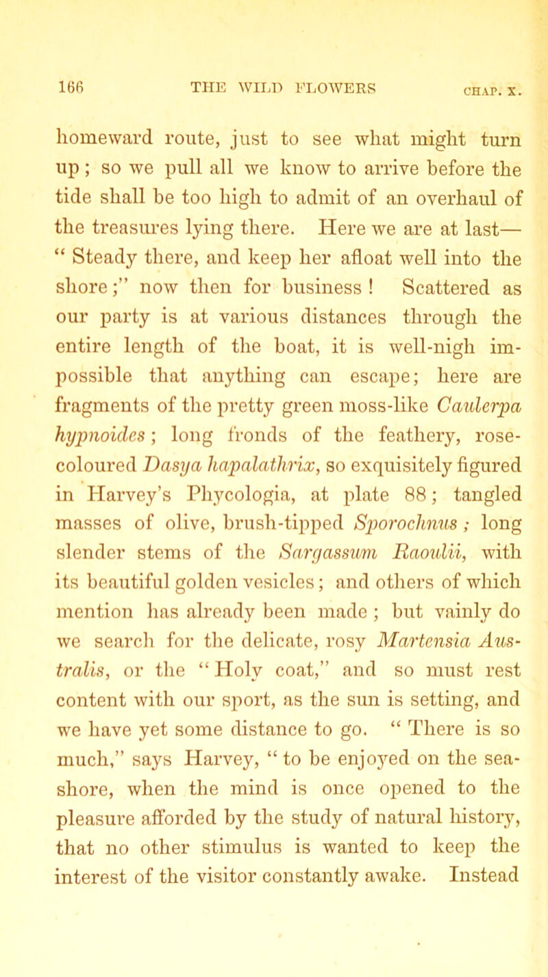 CHAP. X. homeward route, just to see what might turn up; so we pull all we know to arrive before the tide shall be too high to admit of an overhaul of the treasures lying there. Here we are at last— “ Steady there, and keep her afloat well into the shore;” now then for business! Scattered as our party is at various distances through the entire length of the boat, it is well-nigh im- possible that anything can escape; here are fragments of the pretty green moss-like Caulerpa hypnoicles; long fronds of the feathery, rose- coloured Dasya hapalathrix, so exquisitely figured in Harvey’s Phycologia, at plate 88; tangled masses of olive, brush-tipped Sporochnus; long slender stems of the Sargassvm Raoulii, with its beautiful golden vesicles; and others of which mention has already been made ; but vainly do we search for the delicate, rosy Martensia Aus- tralis, or the “ Holy coat,” and so must rest content with our sport, as the sun is setting, and we have yet some distance to go. “ There is so much,” says Harvey, “ to be enjoyed on the sea- shore, when the mind is once opened to the pleasure afforded by the study of natural history, that no other stimulus is wanted to keep the interest of the visitor constantly awake. Instead