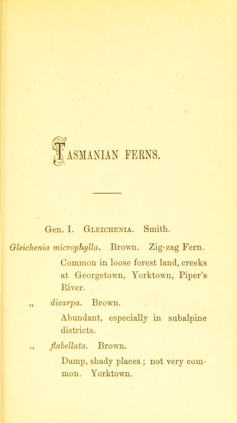 Gen. I. Gleichenia. Smith. Gleichenia microphylla. Brown. Zig-zag Fern. Common in loose forest land, creeks at Georgetown, Yorktown, Piper’s Biver. „ dicarpa. Brown. Abundant, especially in subalpine districts. „ fiabellata. Brown. Damp, shady places ; not very com- mon. Yorktown.