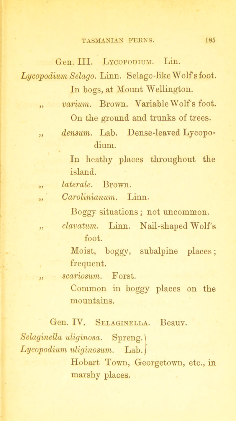 Gen. III. Lycopodium. Lin. Lycopodium Selago. Linn. Selago-like Wolfs foot. In bogs, at Mount Wellington. „ varium. Brown. Variable Wolf 's foot. On the ground and trunks of trees. „ densum. Lab. Dense-leaved Lycopo- dium. In heathy places throughout the island. „ laterale. Brown. „ Carolinianvm. Linn. Boggy situations ; not uncommon. ,, clavatum. Linn. Nail-shaped Wolf’s foot. Moist, boggy, subalpine places; frequent. „ scariosum. Forst. Common in boggy places on the mountains. Gen. IV. Selaginella. Beauv. Selaginella uliginosa. Spreng.) Lycopodium uliginosum. Lab.) Hobart Town, Georgetown, etc., in marshy places.