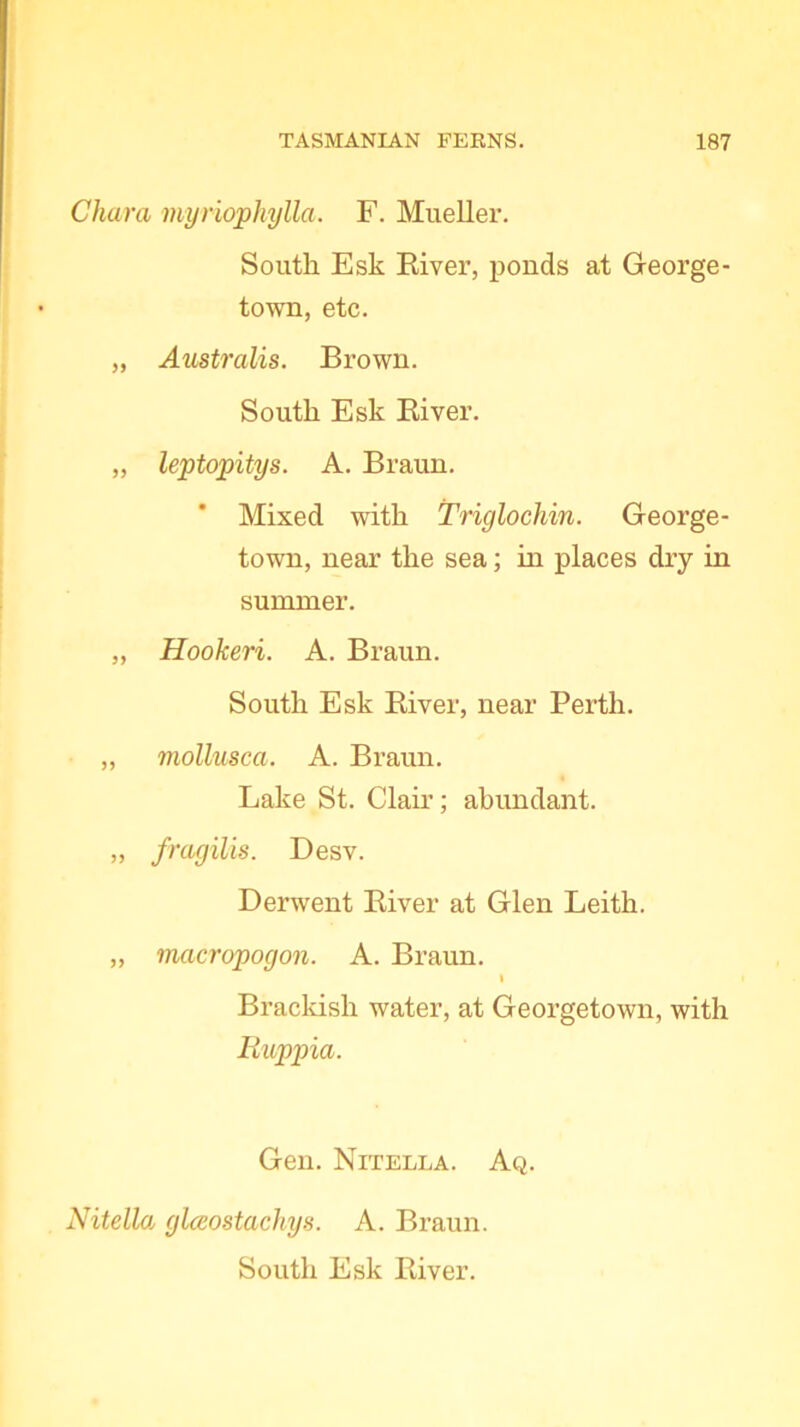 Ghara myriophylla. F. Mueller. South Esk River, ponds at George- town, etc. „ Australis. Brown. South Esk River. „ leptopitys. A. Braun. Mixed with Triglochin. George- town, near the sea; in places dry in summer. „ Hookeri. A. Braun. South Esk River, near Perth. „ mollusca. A. Braun. Lake St. Clair; abundant. „ fragilis. Desv. Derwent River at Glen Leith. „ macropogon. A. Braun. I Brackish water, at Georgetown, with Ruppia. Gen. Nitella. Aq. Nitella glceostacliys. A. Braun. South Esk River.