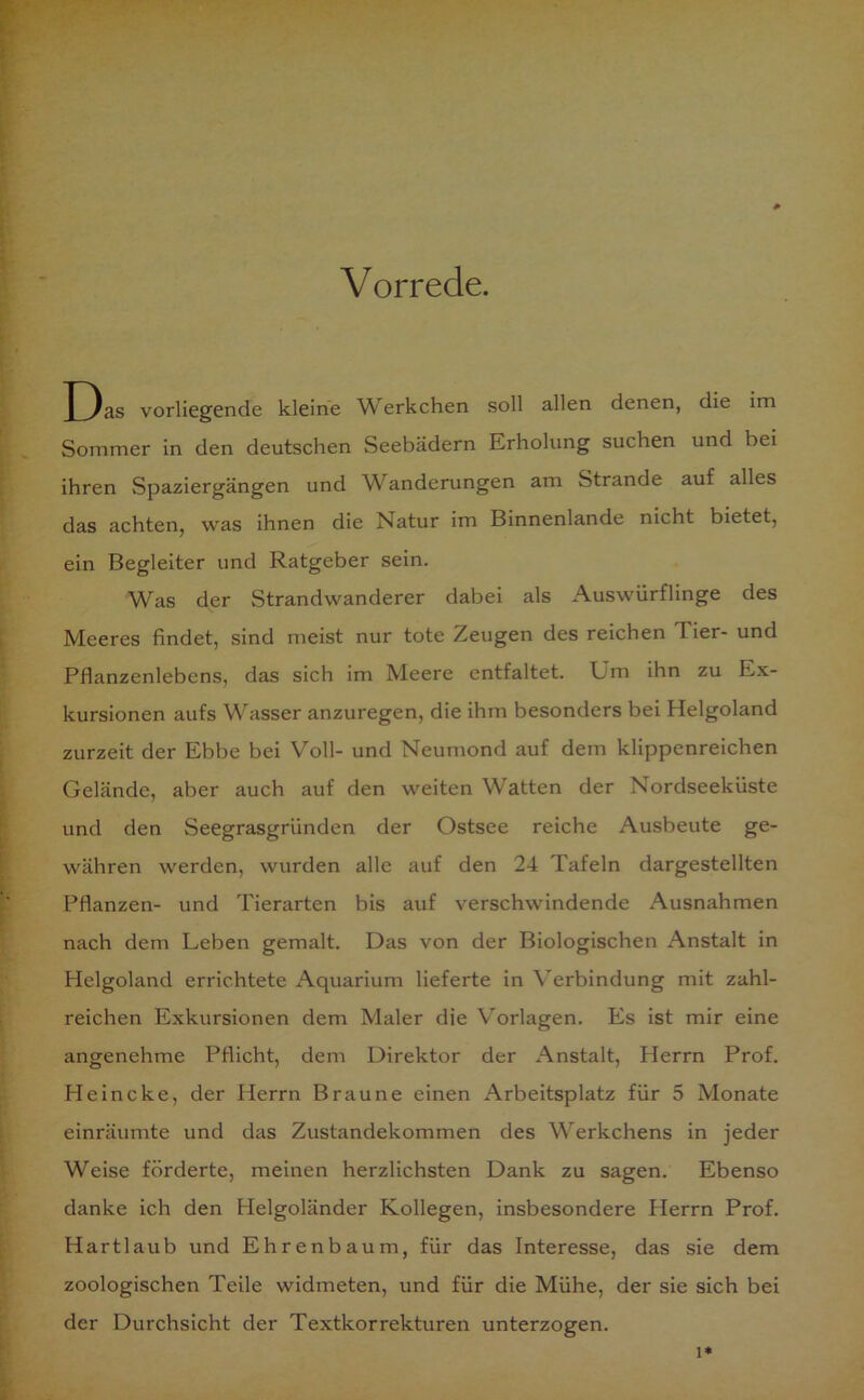 Vorrede. J3as vorliegende kleine Werkchen soll allen denen, die im Sommer in den deutschen Seebädern Erholung suchen und bei ihren Spaziergängen und Wanderungen am Strande auf alles das achten, was ihnen die Natur im Binnenlande nicht bietet, ein Begleiter und Ratgeber sein. Was der Strandwanderer dabei als Auswürflinge des Meeres findet, sind meist nur tote Zeugen des reichen Tier- und Pflanzenlebens, das sich im Meere entfaltet. Um ihn zu Ex- kursionen aufs Wasser anzuregen, die ihm besonders bei Helgoland zurzeit der Ebbe bei Voll- und Neumond auf dem klippenreichen Gelände, aber auch auf den weiten Watten der Nordseeküste und den Seegrasgründen der Ostsee reiche Ausbeute ge- währen werden, wurden alle auf den 24 Tafeln dargestellten Pflanzen- und Tierarten bis auf verschwindende Ausnahmen nach dem Leben gemalt. Das von der Biologischen Anstalt in Helgoland errichtete Aquarium lieferte in Verbindung mit zahl- reichen Exkursionen dem Maler die Vorlagen. Es ist mir eine angenehme Pflicht, dem Direktor der Anstalt, Herrn Prof. Heincke, der Herrn Braune einen Arbeitsplatz für 5 Monate einräumte und das Zustandekommen des Werkchens in jeder Weise förderte, meinen herzlichsten Dank zu sagen. Ebenso danke ich den Helgoländer Kollegen, insbesondere Herrn Prof. Hartlaub und Ehrenbaum, für das Interesse, das sie dem zoologischen Teile widmeten, und für die Mühe, der sie sich bei der Durchsicht der Textkorrekturen unterzogen. l*