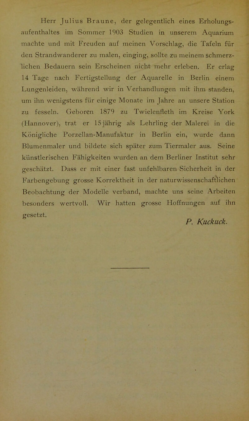 Herr Julius Braune, der gelegentlich eines Erholungs- aufenthaltes im Sommer 1903 Studien in unserem Aquarium machte und mit Freuden auf meinen Vorschlag, die Tafeln für den Strandwanderer zu malen, einging, sollte zu meinem schmerz- lichen Bedauern sein Erscheinen nicht mehr erleben. Er erlag 14 Tage nach Fertigstellung der Aquarelle in Berlin einem Lungenleiden, während wir in Verhandlungen mit ihm standen, um ihn wenigstens für einige Monate im Jahre an unsere Station zu fesseln. Geboren 1879 zu Twielenfleth im Kreise York (Hannover), trat er 15 jährig als Lehrling der Malerei in die Königliche Porzellan-Manufaktur in Berlin ein, wurde dann Blumenmaler und bildete sich später zum Tiermaler aus. Seine künstlerischen Fähigkeiten wurden an dem Berliner Institut sehr geschätzt. Dass er mit einer fast unfehlbaren Sicherheit in der Farbengebung grosse Korrektheit in der naturwissenschaftlichen Beobachtung der Modelle verband, machte uns seine Arbeiten besonders wertvoll. Wir hatten grosse Hoffnungen auf ihn gesetzt. P. Kuckuck.