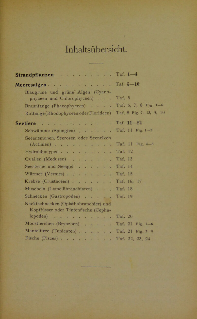 Inhaltsübersicht. Strandpflanzen Taf. 1-4 Meeresalgen Taf. K O— 10 Blaugrüne und grüne Algen (Cyano- phyceen und Chlorophyceen) . . . Taf. 5 Brauntange (Phaeophyceen) .... Taf. 6, 7, 8 Fig. 1 — 6 Rottange (Rhodophyceen oder Florideen) Taf. 8 Fig. 7- -13, 9, 10 Seetiere Taf. 11- -24 Schwämme (Spongien) Taf. 11 Fig. 1—3 Seeanemonen, Seerosen oder Seenelken (Actinien) Taf. 11 Fig. 4—8 Hydroidpolypen Taf. 12 Quallen (Medusen) Taf. 13 Seesterne und Seeigel Taf. 14 Würmer (Vermes) . Taf. 15 Krebse (Crustaceen) Taf. 16, 17 Muscheln (Lamellibranchiaten) Taf. 18 Schnecken (Gastropoden) Taf. 19 Nacktschnecken (Opisthobranchier) und Kopffüsser oder Tintenfische (Cepha- lopoden) Taf. 20 Moostierchen (Bryozoen) Taf. 21 Fig. 1—6 Manteltiere (Tunicaten) Taf. 21 Fig. 7-9 Fische (Pisces) Taf. 22, 23, 24