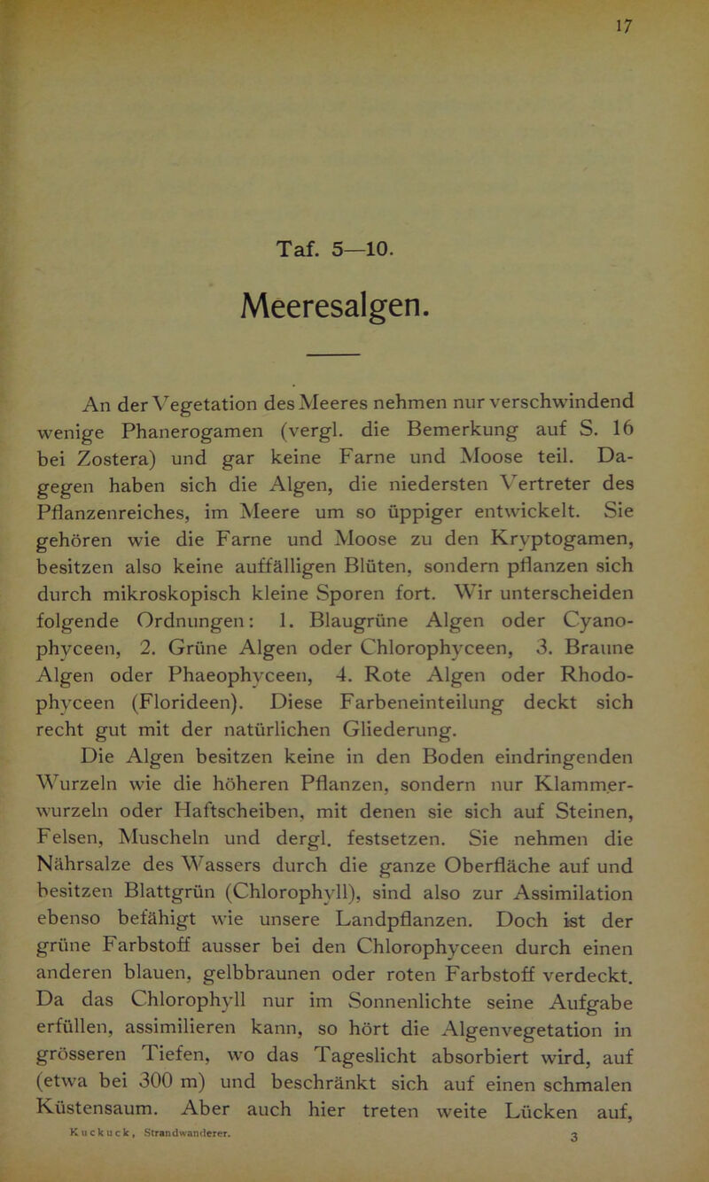 Taf. 5—10. Meeresalgen. An der Vegetation des Meeres nehmen nur verschwindend wenige Phanerogamen (vergl. die Bemerkung auf S. 16 bei Zostera) und gar keine Farne und Moose teil. Da- gegen haben sich die Algen, die niedersten Vertreter des Pflanzenreiches, im Meere um so üppiger entwickelt. Sie gehören wie die Farne und Moose zu den Kryptogamen, besitzen also keine auffälligen Blüten, sondern pflanzen sich durch mikroskopisch kleine Sporen fort. Wir unterscheiden folgende Ordnungen: 1. Blaugrüne Algen oder Cyano- phvceen, 2. Grüne Algen oder Chlorophyceen, 3. Braune Algen oder Phaeophyceen, 4. Rote Algen oder Rhodo- phvceen (Florideen). Diese Farbeneinteilung deckt sich recht gut mit der natürlichen Gliederung. Die Algen besitzen keine in den Boden eindringenden Wurzeln wie die höheren Pflanzen, sondern nur Klamm.er- wurzeln oder Haftscheiben, mit denen sie sich auf Steinen, Felsen, Muscheln und dergl. festsetzen. Sie nehmen die Nährsalze des Wassers durch die ganze Oberfläche auf und besitzen Blattgrün (Chlorophyll), sind also zur Assimilation ebenso befähigt wie unsere Landpflanzen. Doch ist der grüne Farbstoff ausser bei den Chlorophyceen durch einen anderen blauen, gelbbraunen oder roten Farbstoff verdeckt. Da das Chlorophyll nur im Sonnenlichte seine Aufgabe erfüllen, assimilieren kann, so hört die Algenvegetation in grösseren Tiefen, wo das Tageslicht absorbiert wird, auf (etwa bei 300 m) und beschränkt sich auf einen schmalen Küstensaum. Aber auch hier treten weite Lücken auf, Kuckuck, Strandwanderer. «a