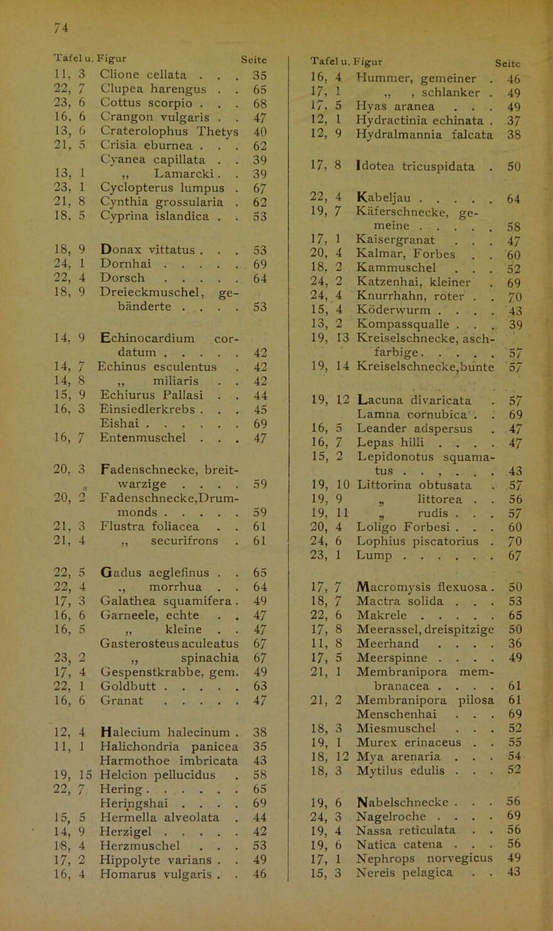 Tafel u. Figur Seite 11, 3 Clione cellata . 35 22, 7 Clupea harengus . . 65 23, 6 Cottus scorpio . 68 16. 6 Crangon vulgaris . 47 13, 6 Craterolophus Thetys 40 21, 5 Crisia eburnea . . . 62 C'yanea capillata . 39 13, i „ Lamarcki. . 39 23, i Cyclopterus lumpus . 67 21, 8 Cynthia grossularia . 62 18, 5 Cyprina islandica . . 53 18, 9 Donax vittatus . . 53 24, 1 Domhai 69 22, 4 Dorsch 64 18, 9 Dreieckmuschel, ge- bänderte . . . . 53 14, 9 Echinocardium cor- datum 42 14, 7 Echinus esculentus 42 14, 8 ,, miliaris 42 15, 9 Echiurus Pallasi . . 44 16, 3 Einsiedlerkrebs . . . 45 Eishai 69 16, f-r / Entenmuschel . . . 47 20, 3 Fadenschnecke, breit- o warzige .... 59 20, 2 F adenschnecke,Drum- monds 59 21, o O Flustra foliacea . . 61 21, 4 ,, securifrons 61 22, 5 Gadus aeglefinus . . 65 22, 4 ., morrhua 64 17, 3 Galathea squamifera. 49 16, 6 Garneele, echte . . 47 16, 5 ,, kleine 47 Gasterosteus aculeatus 67 23, 2 ,, spinachia 67 17, 4 Gespenstkrabbe, gern. 49 22, 1 Goldbutt 63 16, 6 Granat 47 12, 4 Halecium halecinum . 38 11, 1 Halichondria panicea 35 Harmothoe imbricata 43 19, 15 Helcion pellucidus 58 22, 7 Hering 65 Heringshai .... 69 15, 5 Hermella alveolata 44 14, 9 Herzigel 42 18. 4 Herzmuschel . . 53 17, 2 Hippolyte varians . 49 16, 4 Homarus vulgaris . 46 Tafel u. Figur Seite 16, 4 Hummer, gemeiner . 46 17. 1 ,, , schlanker . 49 17, 5 Hyas aranea . . 49 12, 1 Hydractinia echinata . 37 12, 9 Hydralmannia falcata 38 17, 8 Idotea tricuspidata . 50 22, 4 Kabeljau .... 64 19, 7 Käferschnecke, ge- meine . . . 58 17, 1 Kaisergranat . . . 47 20, 4 Kalmar, Forbes 60 18. 2 Kammuschel 52 24, 2 Katzenhai, kleiner 69 24, 4 Knurrhahn, roter . 70 15, 4 Köderwurm .... 43 13, 2 Kompassqualle . 39 19, 13 Kreiselschnecke, asch- farbige 57 19, 14 Kreiselschnecke,bunte 57 19, 12 Lacuna divaricata 57 Lamna cornubica . 69 16, 5 Leander adspersus 47 16, 7 Lepas hilli . . . . 47 15, 2 Lepidonotus squama- tus 43 19, 10 Littorina obtusata 57 19, 9 „ littorea . . 56 19, 11 „ rudis . . . 57 20, 4 Loligo Forbesi . . . 60 24, 6 Lophius piscatorius . 70 23, 1 Lump 67 17, 7 Macromysis flexuosa. 50 18, 7 Mactra solida . . . 53 22, 6 Makrele 65 17, 8 Meerassel, dreispitzige 50 11, 8 Meerhand .... 36 17, 5 Meerspinne .... 49 21, i Membranipora mem- branacea .... 61 21, 2 Membranipora pilosa 61 Menschenhai . . . 69 18, 3 Miesmuschel . . . 52 19, 1 Murex erinaceus . . 03 18, 12 Mya arenaria . . . 54 18, 3 Mytilus edulis . . . 52 19, 6 Nabelschnecke . . 56 24, 3 Nagelroche .... 69 19, 4 Nassa reticulata . . 56 19, 6 Natica catena . . . 56 17, 1 Nephrops norvegicus 49 15, 3 Nereis pelagica . . 43