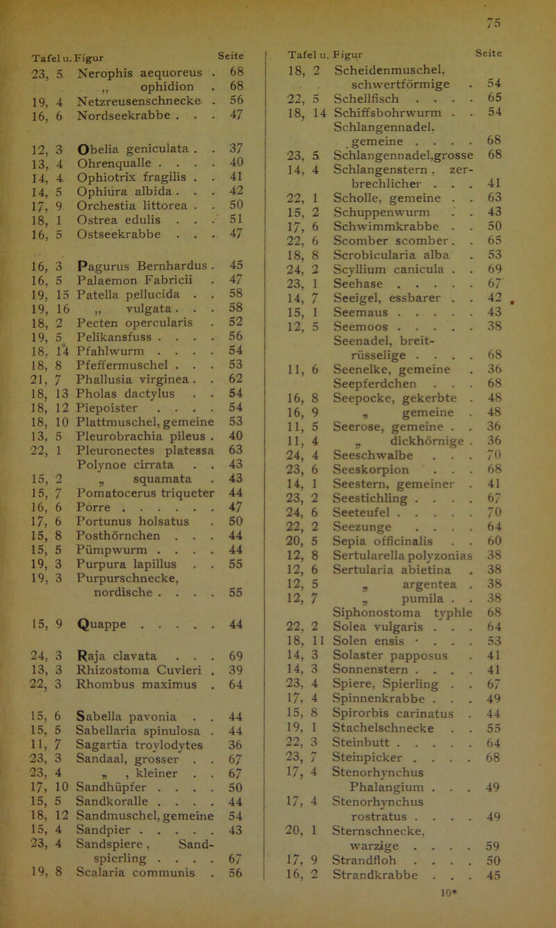 Tafel u. Figur Seite 23, 5 Nerophis aequoreus . 68 ,, ophidion 68 19, 4 Netzreusenschnecke . 56 16, 6 Nordseekrabbe . . . 47 12, 3 Obelia geniculata . . 37 13. 4 Ohrenqualle . . . . 40 14, 4. Ophiotrix fragilis . . 41 14, 5 Ophiura albida. . . 42 17, 9 Orchestia littorea . . 50 18, 1 Ostrea edulis . . . 51 16, 5 Ostseekrabbe . . . 47 16, 3 Pagurus Bernhardus . 45 16, 5 Palaemon Fabricii 47 19, 15 Patella pellucida . . 58 19, 16 ,, vulgata. 58 18, 2 Pecten opercularis 52 19, 5 Pelikansfuss . 56 18, 14 Pfahlwurm .... 54 18, 8 Pfeffermuschel . . . 53 21, 7 Phallusia virginea . . 62 18, 13 Pholas dactylus . . 54 18, 12 Piepoister . . . . 54 18, 10 Plattmuschel, gemeine 53 13. 5 Pleurobrachia pileus . 40 22, 1 Pleuronectes platessa 63 Polynoe cirrata 43 15, 2 „ squamata 43 15, 7 Pomatocerus triqueter 44 16, 6 Porre 47 17, 6 Portunus holsatus 50 15, 8 Posthörnchen . . . 44 15, 5 Pümpwurm .... 44 19, 3 Purpura lapillus 55 19, 3 Purpurschnecke, nordische .... 55 15, 9 Quappe 44 24, 3 Raja clavata . . . 69 13, 3 Rhizostoma Cuvieri . 39 22, 3 Rhombus maximus . 64 15, 6 Sabella pavonia . . 44 15. 5 Sabellaria spinulosa . 44 11, 7 Sagartia troylodytes 36 23, 3 Sandaal, grosser . 67 23, 4 „ , kleiner . . 67 17, 10 Sandhüpfer . . . . 50 15, 5 Sandkoralle . . . 44 18, 12 Sandmuschel, gemeine 54 15, 4 Sandpier 43 23, 4 Sandspiere, Sand- Spierling . . . . 67 19, 8 Scalaria communis 56 75 Tafel u. Figur Seite 18, 2 Scheidenmuschel, schwertförmige 54 22, 5 Schellfisch . . . . 65 18, 14 Schiffsbohrwurm . 54 Schlangennadel, gemeine .... 68 23, 5 Schlangennadel,grosse 68 14, 4 Schlangenstern, zer- brechlicher . . . 41 22, 1 Scholle, gemeine . 63 15, 2 Schuppenwurm . . 43 17, 6 Schwimmkrabbe . . 50 22, 6 Scomber scomber. 65 18, 8 Scrobicularia alba 53 24, 2 Scyllium canicula . . 69 23, 1 Seehase 67' 14, 7 Seeigel, essbarer . . 42 . 15, 1 Seemaus 43 12, 5 Seemoos . . . . . 38 Seenadel, breit- riisselige . . . . 68 11, 6 Seenelke, gemeine 36 Seepferdchen . . . 68 16, 8 Seepocke, gekerbte . 48 16, 9 „ gemeine . 48 11, 5 Seerose, gemeine . . 36 11, 4 „ dickhörnige . 36 24, 4 Seeschwalbe 70 23, 6 Seeskorpion . . . 68 14, 1 Seestern, gemeiner . 41 23, 2 Seestichling . . . . 67 24, 6 Seeteufel 70 22, 2 Seezunge . . . . 64 20, 5 Sepia officinalis . . 60 12, 8 Sertularella polyzonias 38 12, 6 Sertularia abietina 38 12, 5 „ argentea . 38 12, 7 „ pumila . . 38 Siphonostoma typhle 68 22, 2 Solea vulgaris . 64 18, 11 Solen ensis • . . . 53 14, 3 Solaster papposus 41 14, 3 Sonnenstern . . . . 41 23, 4 Spiere, Spierling . . 67 17, 4 Spinnenkrabbe . . . 49 15, 8 Spirorbis carinatus 44 19, 1 Stachelschnecke 55 22, 3 Steinbutt 64 23, 7 Steinpicker .... 68 17, 4 Stenorhynchus Phalangium . 49 17, 4 Stenorhynchus rostratus .... 49 20, 1 Sternschnecke, warzige .... 59 17, 9 Strandfloh .... 50 16, 2 Strandkrabbe . . . 45 io*