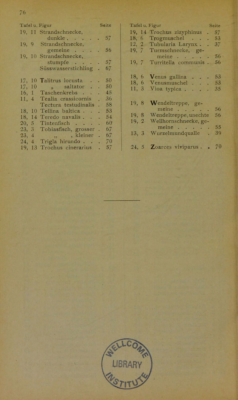 Tafel u. Figur Seite 19, 11 Strandschnecke, dunkle .... . 57 19, 9 Strandschnecke, gemeine . . . . 56 19, 10 Strandschnecke, stumpfe . . . . 57 Süsswasserstichling • 67 17, 10 Talitrus locusta . 50 17, 10 „ saltator . . 50 16, 1 Taschenkrebs . . 45 11, 4 Tealia crassicornis . 36 Tectura testudinalis . 58 18, 10 Tellina baltica . . 53 18, 14 Teredo navalis . . . 54 20, 5 Tintenfisch . . . . 60 23, 3 Tobiasfisch, grosser - 67 23, 4 „ ,. kleiner . 67 24, 4 Trigla hirundo . . 70 19, 13 Trochus cinerarius . 57 Tafel u. Figur Seite 19, 14 Trochus zizyphinus . 57 18, 6 Trogmuschel . . . 53 12, 2 Tubularia Larynx . . 37 19, 7 Turmschnecke, ge- meine 56 19, 7 Turritella communis . 56 18, 6 Venus gallina . . . 53 18, 6 Venusmuschel . 53 11, 3 Vioa typica . . . . 35 19, 8 Wendeltreppe, ge- meine 56 19, 8 Wendeltreppe, unechte 56 19, 2 Wellhornschnecke, ge- meine 55 13, 3 Wurzelmundqualle 39 24, 5 Zoarces viviparus . . 70