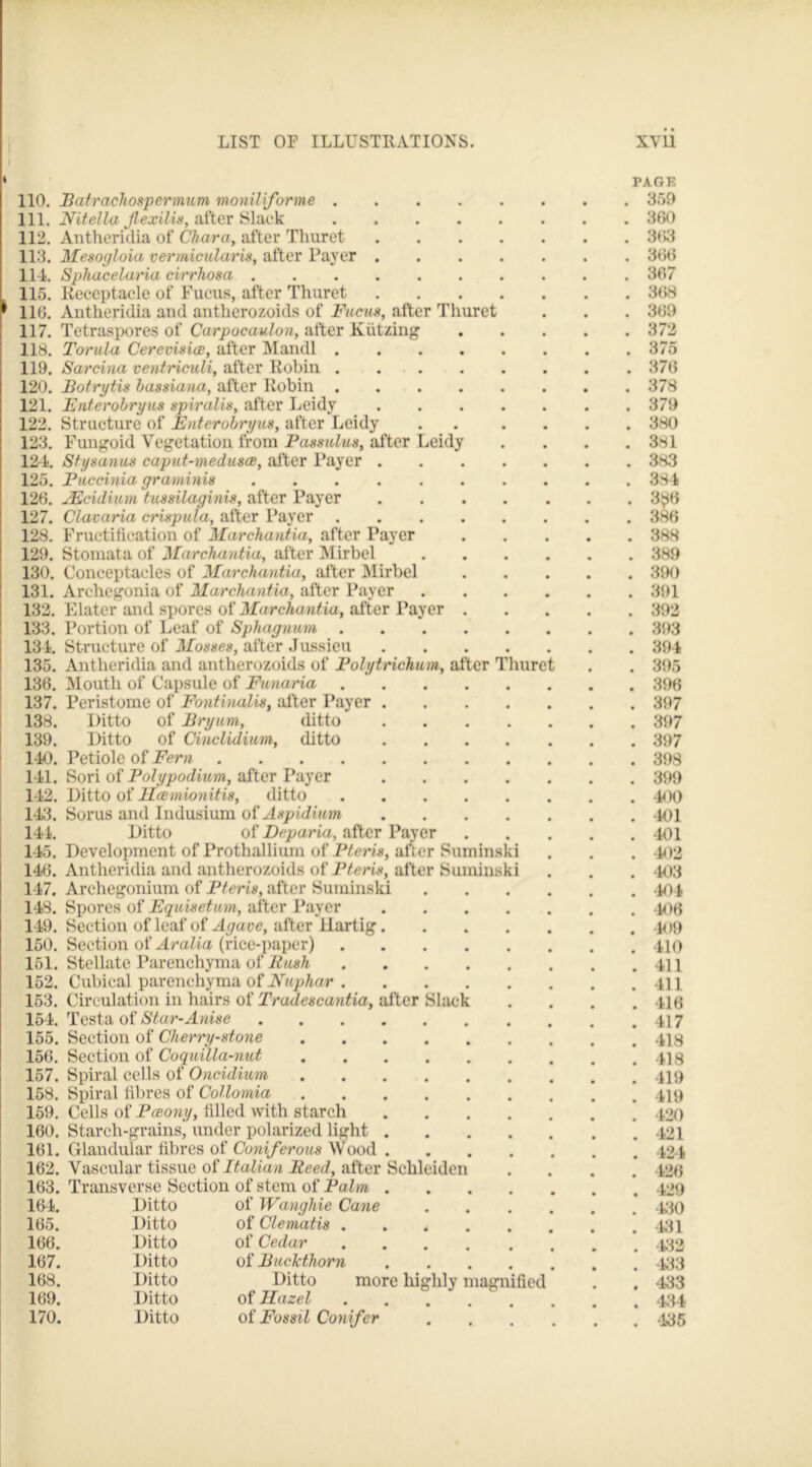 110. Batrachospermum monil forme . 111. Nitella Jlexilis, after Slack 112. Antheridia of Chara, after Thuret 113. Mesogloia vermicularis, after Payer 114. Sphaceluria cirrhosa . 115. Receptacle of Fucus, after Thuret 116. Antheridia and antherozoids of Fucus, after Thuret 117. Tetraspores of Carpocaulon, after Kiitzing 118. Torula Cerevisice, after Mandl .... 119. Sarcina ventriculi, after Robin .... 120. Botrytis bassiana, after Robin .... 121. Enterobryus spiralis, after Leidy 122. Structure of Enterobryus, after Leidy 123. Fungoid Vegetation from Passulus, after Leidy 124. Stysanus caput-medusae, after Payer . 125. Puccinia graminis 126. jEcidium tussilaginis, after Payer 127. Clavaria crispula, after Payer 128. Fructification of Marchantia, after Payer 129. Stomata of Marchantia, after Mirbel 130. Conceptacles of Marchantia, after Mirbel 131. Archegonia of Marchantia, after Payer 132. Elater and spores of Marchantia, after Payer 133. Portion of Leaf of Sphagnum . 134. Structure of Mosses, after Jussieu 135. Antheridia and antherozoids of Polytrichum, after Thurc 136. Mouth of Capsule of Funaria 137. Peristome of Fontinalis, after Payer . 138. Ditto of Bryum, ditto 139. Ditto of Cinclidium, ditto 140. Petiole of Fern 141. Sori of Polypodium, after Payer 142. Ditto of Hoemionitis, ditto 143. Sorus and Indusium of Aspidium 144. Ditto of Deparia, after Payer 145. Development of Prothallium of Pteris, after Suminski 146. Antheridia and antherozoids of Pteris, after Suminski 147. Archegonium of Pteris, after Suminski 148. Spores of Equisetum, after Payer 149. Section of leaf of Agave, after Ilartig. 150. Section of Aralia (rice-paper) 151. Stellate Parenchyma of Rush 152. Cubical parenchyma of Nuphar . 153. Circulation in hairs of Tradescantia, after Slaci 154. Testa of Star-Anise 155. Section of Cherry-stone 156. Section of Coquilla-nut 157. Spiral cells of Oncidium 158. Spiral fibres of Collomia 159. Cells of Pceony, filled with starch 160. Starch-grains, under polarized light . 161. Glandular fibres of Coniferous Wood . 162. Vascular tissue of Italian Reed, after S 163. Transverse Section of stem of Palm . . 429 164. Ditto of Wanghie Cane # . 430 165. Ditto of Clematis . • • . 131 166. Ditto of Cedar . . 432 167. Ditto of Buckthorn . 133 168. Ditto Ditto more highly magnified . 433 169. Ditto of Ilazel . 434 170. Ditto of Fossil Conifer • . 435 PAGE , 359 . 360 . 363 . 366 . 3«7 . 368 . 369 . 372 . 3/o . 376 . 378 . 379 . 380 . 381 . 383 . 384 . 3$6 . 3s6 . 3ss . 3*9 . 390 . 391 . 392 . 393 . 394 . 396 . 396 . 397 . 397 . 397 . 890 . 399 . 400 . 401 . Ml . U KB . 403 . 404 . 406 . 409 . uo . 411 . ill . 416 . 117 . ns . ns . 419 . 419 . 420 . 121 . 124