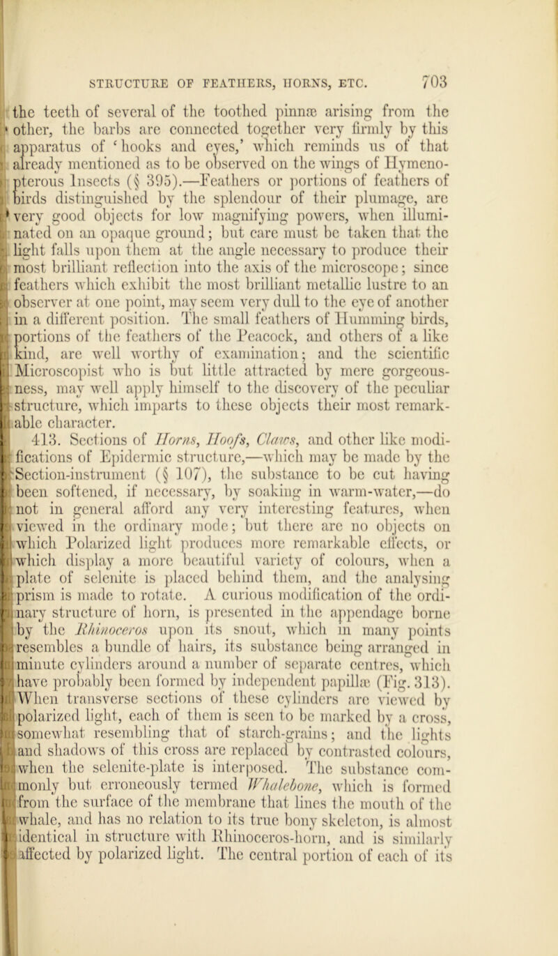 the teeth of several of the toothed pinme arising from the ’» other, the barbs are connected together very firmly by this < apparatus of ‘hooks and eyes,’ which reminds us of that I already mentioned as to be observed on the wings of Ilymcno- ) pterous Insects (§ 395).—Feathers or portions of feathers of \ birds distinguished by the splendour of their plumage, arc i^very good objects for low magnifying powers, when illumi- r, nated on an opaque ground; but care must be taken that the light falls upon them at the angle necessary to produce their c, most brilliant reflection into the axis of the microscope; since f: feathers which exhibit the most brilliant metallic lustre to an SC observer at one point, may seem very dull to the eye of another I in a different position. The small feathers of Humming birds, ■ portions of the feathers of the Peacock, and others of a like iii kind, are well worthy of examination; and the scientific i] Microscopist who is but little attracted by mere gorgeous- 55 ness, may well apply himself to the discovery of the peculiar n structure, which imparts to these objects their most remark- 1; able character. 413. Sections of Iloms, Roofs, Claws, and other like modi- K fications of Epidermic structure,—which may be made by the ft*Section-instrument (§ 107), the substance to be cut having 7 been softened, if necessary, by soaking in warm-water,—do i not in general afford any very interesting features, when E» viewed in the ordinary mode; but there are no objects on ill which Polarized light produces more remarkable effects, or n which display a more beautiful variety of colours, when a j plate of selenite is placed behind them, and the analysing i r prism is made to rotate. A curious modification of the ordi- ftj nary structure of horn, is presented in the appendage borne f by the Rhinoceros upon its snout, which m many points m resembles a bundle of hairs, its substance being arranged in Jui minute cylinders around a number of separate centres, which i have probably been formed by independent papilla* (Fig. 313). ) When transverse sections of these cylinders are viewed by ■ polarized light, each of them is seen to be marked by a cross, ■[somewhat resembling that of starch-grains; and the lights Lhjand shadows of this cross are replaced by contrasted colours, pjjwhcn the selenite-plate is interposed. The substance com- Imonly but erroneously termed Whalebone, which is formed ■from the surface of the membrane that lines the mouth of the et whale, and has no relation to its true bony skeleton, is almost ■ identical in structure with Rhinoceros-horn, and is similarly '] affected by polarized light. The central portion of each of it's