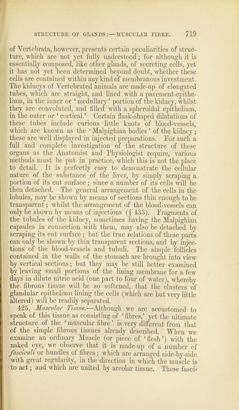 of Vertebrata, however, presents certain peculiarities of struc- ture, which are not yet fully understood; for although it is essentially composed, like other glands, of secreting cells, yet it has not yet been determined beyond doubt, whether these cells are contained within any kind of membranous investment. The kidneys of Vertebrated animals are made-up of elongated tubes, which are straight, and lined with a pavement-epithe- lium, in the inner or ‘ medullary5 portion of the kidney, whilst they are convoluted, and tilled with a spheroidal epithelium, in the outer or 4 cortical.’ Certain flask-shaped dilatations of these tubes include curious little knots of blood-vessels, which are known as the c Malpighian bodies ’ of the kidney ; these are well displayed in injected preparations. For such a full and complete investigation of the structure of these organs as the Anatomist and Physiologist require, various methods must be put in practice, which this is not the place to detail. It is perfectly easy to demonstrate the cellular nature of the substance of the liver, by simply scraping a portion of its cut surface ; since a number of its cells will be then detached. The general arrangement of the cells in the lobules, may be shown by means of sections thin enough to be transparent; whilst the arrangement of the blood-vessels can only be shown by means of injections (§ 433). Fragments of the tubules of the kidney, sometimes having the Malpighian capsules in connection with them, may also be detached by scraping its cut surface; but the true relations of these parts can only be shown by thin transparent sections, and by injec- tions of the blood-vessels and tubuli. The simple follicles contained in the walls of the stomach are brought into view by vertical sections; but they may be still better examined by leaving small portions of the lining membrane for a few days in dilute nitric acid (one part to four of water), whereby the. fibrous tissue will be so softened, that the clusters of glandular epithelium lining the cells (which are but very little j altered) will be readily separated. 425. Muscular Tissue.—Although we are accustomed to j speak of this tissue as consisting of c fibres,’ yet the ultimate | structure of the ‘ muscular fibre ’ is very different from that | of the simple fibrous tissues already described. When we examine an ordinary Muscle (or piece of ‘flesh’) with the naked eye, we observe that it is made-up of a number of U fasciculi or bundles of fibres; which are arranged side-by-side with great regularity, in the direction in which the muscle is to act; and which are united by areolar tissue. These fasci-