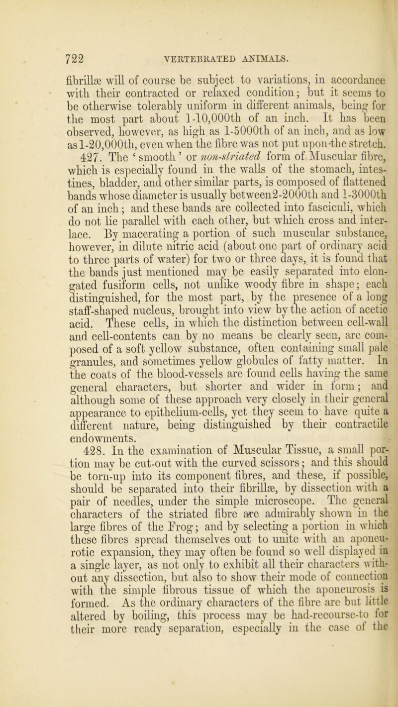 fibrillse will of course be subject to variations, in accordance with their contracted or relaxed condition; but it seems to be otherwise tolerably uniform in different animals, being for the most part about 1-10,000th of an inch. It has been observed, however, as high as 1-5 000th of an inch, and as low as 1-20,000th, even when the fibre was not put upon-the stretch. 427. The ‘ smooth5 or non-striated form of Muscular fibre, which is especially found in the walls of the stomach, intes- tines, bladder, and other similar parts, is composed of flattened bands whose diameter is usually between2-2000th and l-3000th of an inch; and these bands are collected into fasciculi, which do not lie parallel with each other, but which cross and inter- lace. By macerating a portion of such muscular substance, however, in dilute nitric acid (about one part of ordinary acid to three parts of water) for two or three days, it is found that the bands just mentioned may be easily separated into elon- gated fusiform cells, not unlike woody fibre in shape; each distinguished, for the most part, by the presence of a long staff-shaped nucleus, brought into view by the action of acetic, acid. These cells, in which the distinction between cell-wall and cell-contents can by no means be clearly seen, are com- posed of a soft yellow substance, often containing small pale granules, and sometimes yellow globules of fatty matter. In the coats of the blood-vessels are found cells having the same general characters, but shorter and wider in form; and although some of these approach very closely in their general appearance to epithelium-cells, yet they seem to have quite a different nature, being distinguished by their contractile endowments. 428. In the examination of Muscular Tissue, a small por- tion may be cut-out with the curved scissors; and this should be torn-up into its component fibres, and these, if possible, should be separated into their fibrillse, by dissection with a pair of needles, under the simple microscope. The general characters of the striated fibre are admirably shown in the large fibres of the Frog; and by selecting a portion in which these fibres spread themselves out to unite with an aponeu- rotic expansion, they may often be found so well displayed in a single layer, as not only to exhibit all their characters with- out any dissection, but also to show their mode of connection with the simple fibrous tissue of which the aponeurosis is formed. As the ordinary characters of the fibre are but little altered by boiling, this process may be had-recourse-to tor their more ready separation, especially in the case of the