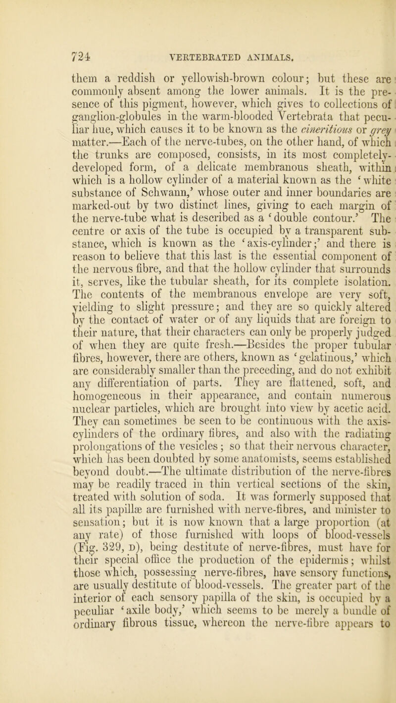 them a reddish or yellowish-brown colour; but these are commonly absent among the lower animals. It is the pre- sence of this pigment, however, which gives to collections of ganglion-globules in the warm-blooded Yertebrata that pecu- liar hue, which causes it to be known as the cineritious or grey matter.—Each of the nerve-tubes, on the other hand, of which the trunks are composed, consists, in its most completely- developed form, of a delicate membranous sheath, within. which is a hollow cylinder of a material known as the ‘ white substance of Schwann/ whose outer and inner boundaries are marked-out by two distinct lines, giving to each margin of the nerve-tube what is described as a c double contour.’ The centre or axis of the tube is occupied by a transparent sub- stance, which is known as the f axis-cylinder / and there is reason to believe that this last is the essential component of the nervous fibre, and that the hollow cylinder that surrounds it, serves, like the tubular sheath, for its complete isolation. The contents of the membranous envelope are very soft, yielding to slight pressure; and they are so quickly altered by the contact of water or of any liquids that are foreign to their nature, that their characters can only be properly judged of when they are quite fresh.—Besides the proper tubular fibres, however, there are others, known as ‘gelatinous,’ which are considerably smaller than the preceding, and do not exhibit any differentiation of parts. They are flattened, soft, and homogeneous in their appearance, and contain numerous nuclear particles, which are brought into view by acetic acid. They can sometimes be seen to be continuous with the axis- cylinders of the ordinary fibres, and also with the radiating prolongations of the vesicles ; so that their nervous character, which lias been doubted by some anatomists, seems established beyond doubt.—The ultimate distribution of the nerve-fibres may be readily traced in thin vertical sections of the skin, treated with solution of soda. It was formerly supposed that all its papillae are furnished with nerve-fibres, and minister to sensation; but it is now known that a large proportion (at any rate) of those furnished with loops of blood-vessels (Eig. 329, d), being destitute of nerve-fibres, must have for their special office the production of the epidermis; whilst those which, possessing nerve-fibres, have sensory functions, are usually destitute of blood-vessels. The greater part of the interior of each sensory papilla of the skin, is occupied by a peculiar ‘ axile body/ which seems to be merely a bundle of ordinary fibrous tissue, whereon the nerve-fibre appears to