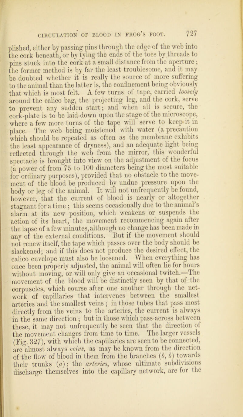 plished, cither by passing pins through the edge of the web into the cork beneath, or by tying the ends of the toes by threads to pins stuck into the cork at a small distance from the aperture ; the former method is by far the least troublesome, and it, may be doubted whether it is really the source of more suffering to the animal than the latter is, the confinement being obviously that which is most felt. A few turns of tape, carried loosely around the calico bag, the projecting leg, and the cork, serve to prevent any sudden start; and when all is secure, the cork-plate is to be laid-down upon the stage of the microscope, where a few more turns ol the tape will serve to keep it in place. The web being moistened with water (a precaution which should be repeated as often as the membrane exhibits the least appearance of dryness), and an adequate light being reflected through the web from the mirror, this wonderful spectacle is brought into view on the adjustment ot the focus (a power of from 75 to 100 diameters being the most suitable for ordinary purposes), provided that no obstacle to the move- ment of the blood be produced by undue pressure upon the body or leg of the animal. It will not unfrequently be found, however, that the current of blood is nearly or altogether stagnant for a time ; this seems occasionally due to the animal’s alarm at its new position, which weakens or suspends the action of its heart, the movement recommencing again after the lapse of a few minutes, although no change has been made in any of the external conditions. But if the movement should not renew itself, the tape which passes over the body should be slackened; and if this does not produce the desired effect, the calico envelope must also be loosened. \V hen everything has once been properly adjusted, the animal will often lie for hours without moving, or will only give an occasional twitch.—The movement of the blood will be distinctly seen by that of the corpuscles, which course after one another through the net- work of capillaries that intervenes between the smallest arteries and the smallest veins ; in those tubes that pass most directly from the veins to the arteries, the current is always in the same direction ; but in those which pass-across between these, it may not unfrequently be seen that the direction ot the movement changes from time to time. The larger vessels (Tig. 327), with which the capillaries are seen to be connected, are almost always veins, as may be known from the direction of the flow of biood in them from the branches (b, b) towards their trunks (a); the arteries, whose ultimate subdivisions discharge themselves into the capillary network, are lor the